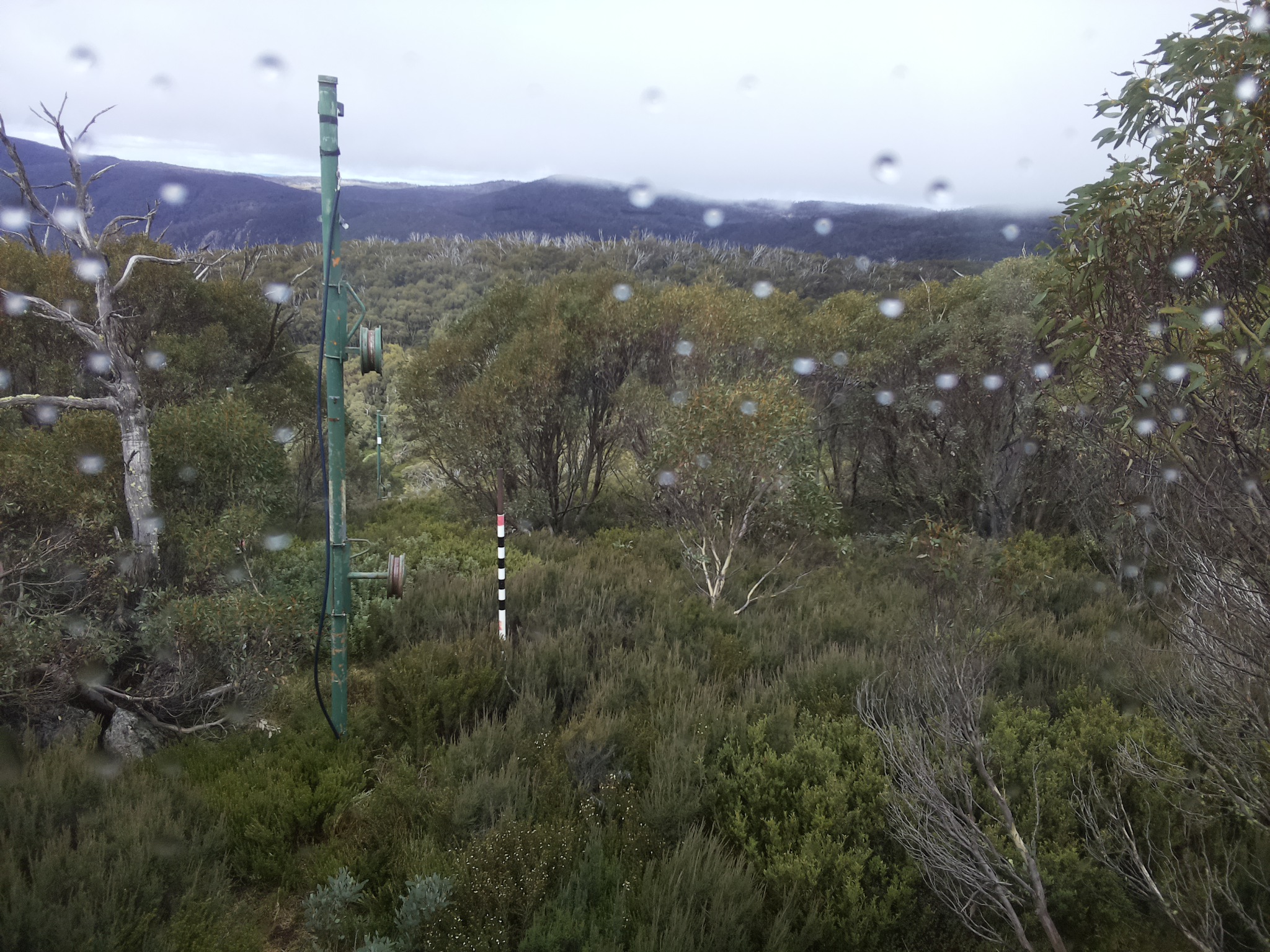 Bogong Web Cam 12:40pm Thursday 1st of May 2025