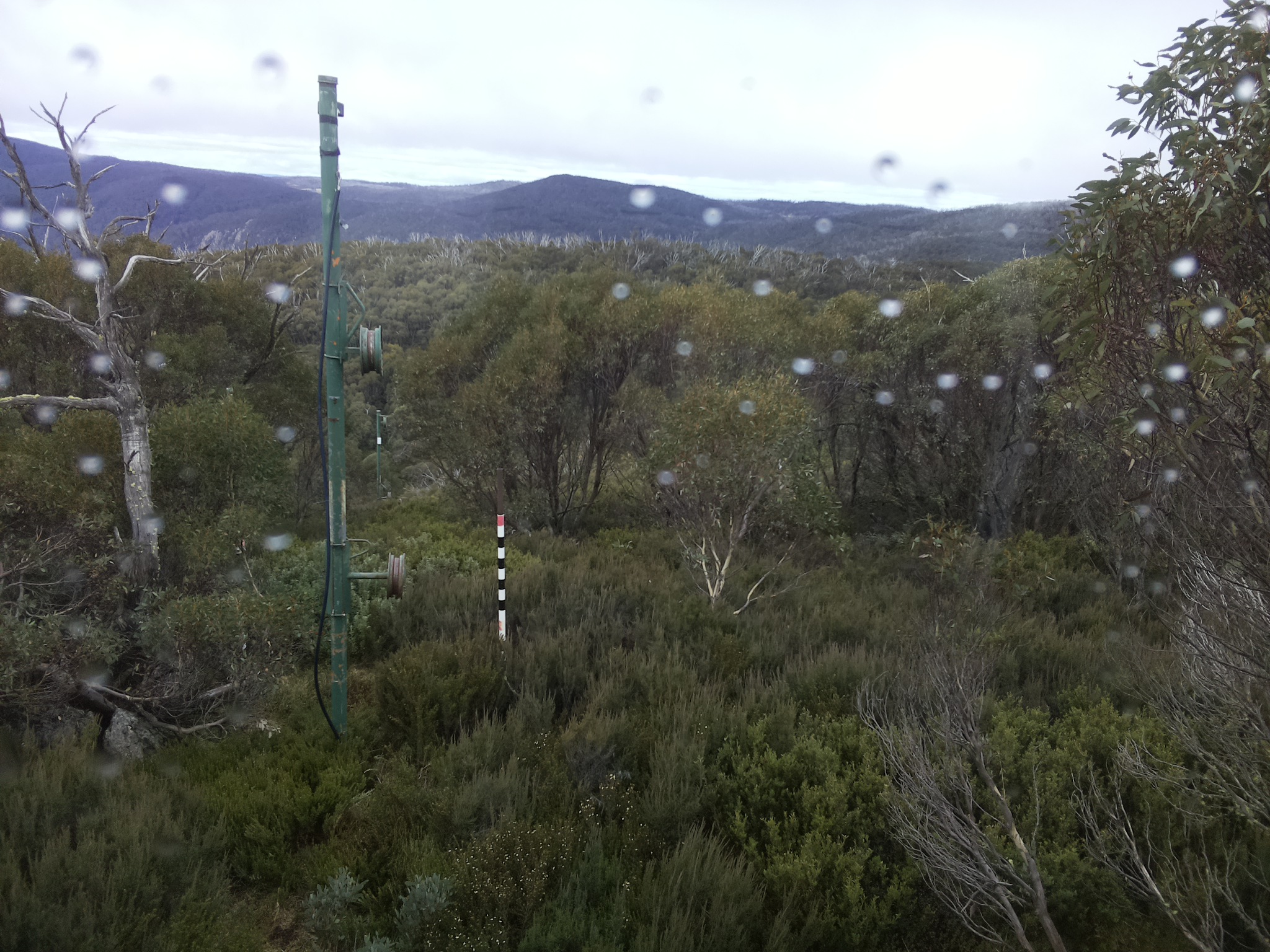 Bogong Web Cam 12:50pm Thursday 1st of May 2025