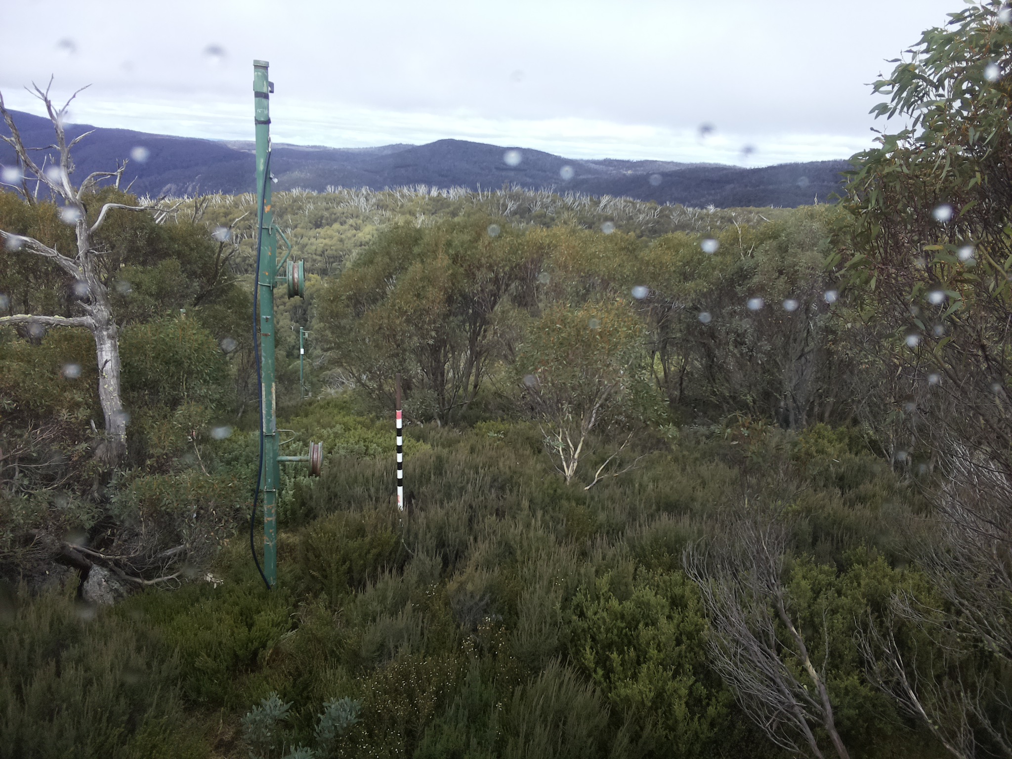Bogong Web Cam 1:00pm Thursday 1st of May 2025