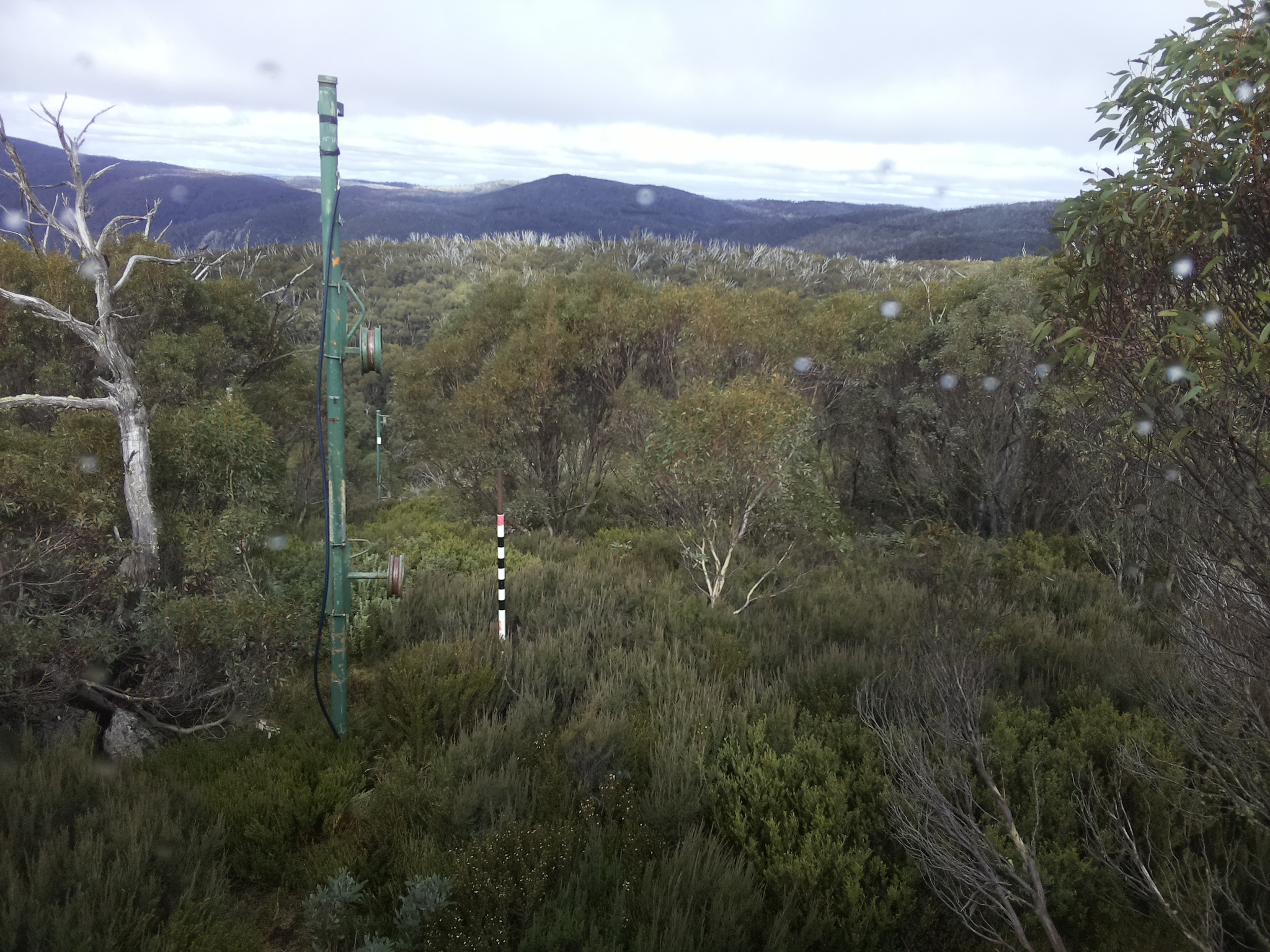 Bogong Web Cam 1:20pm Thursday 1st of May 2025