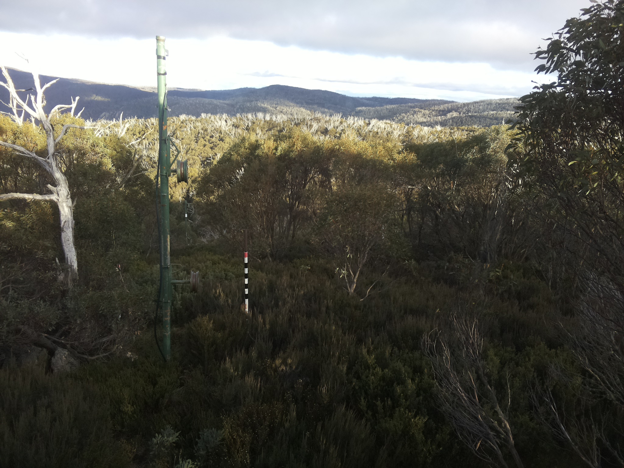 Bogong Web Cam 4:20pm Thursday 1st of May 2025