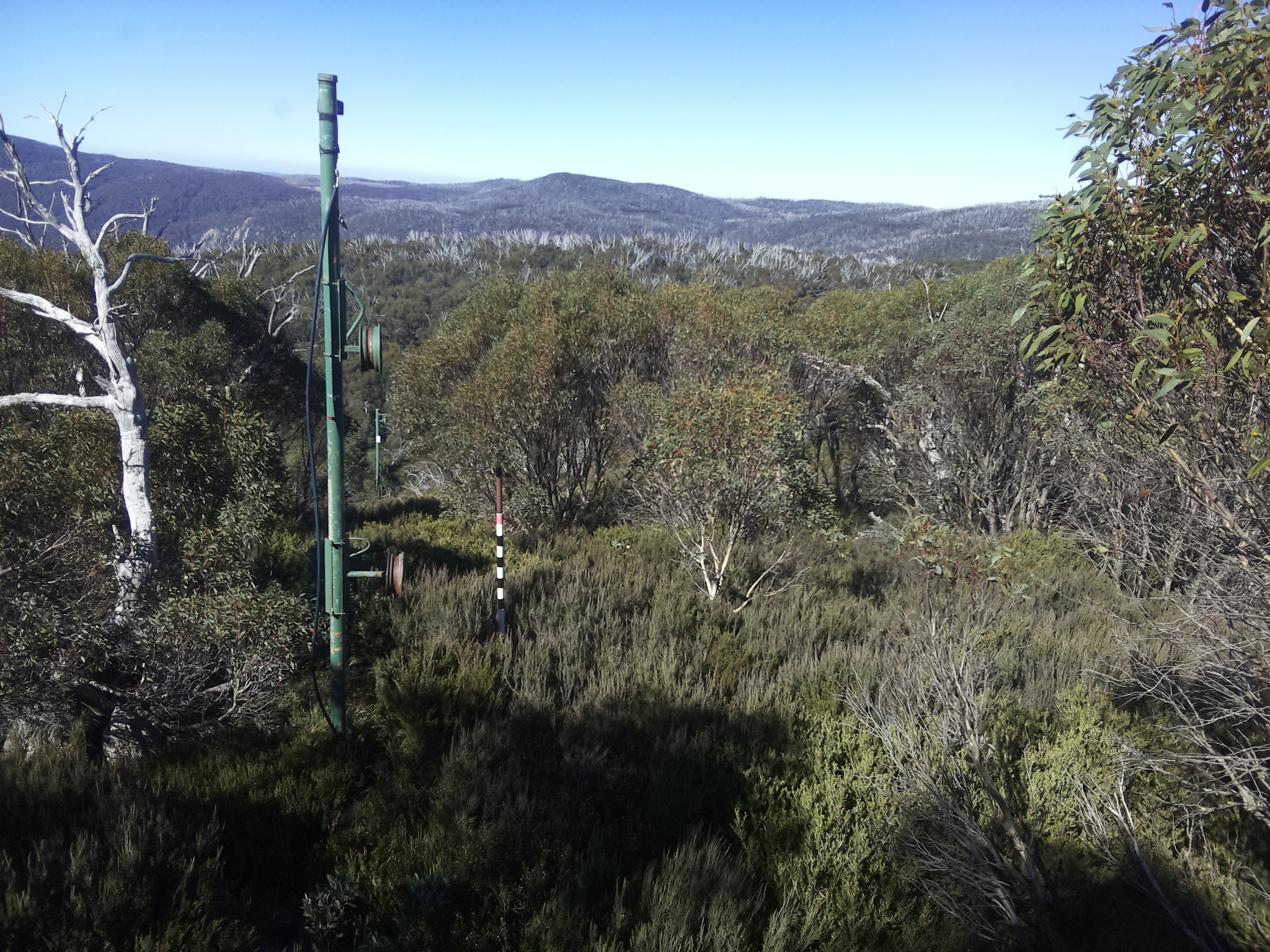 Bogong Web Cam 11:20am Friday 2nd of May 2025