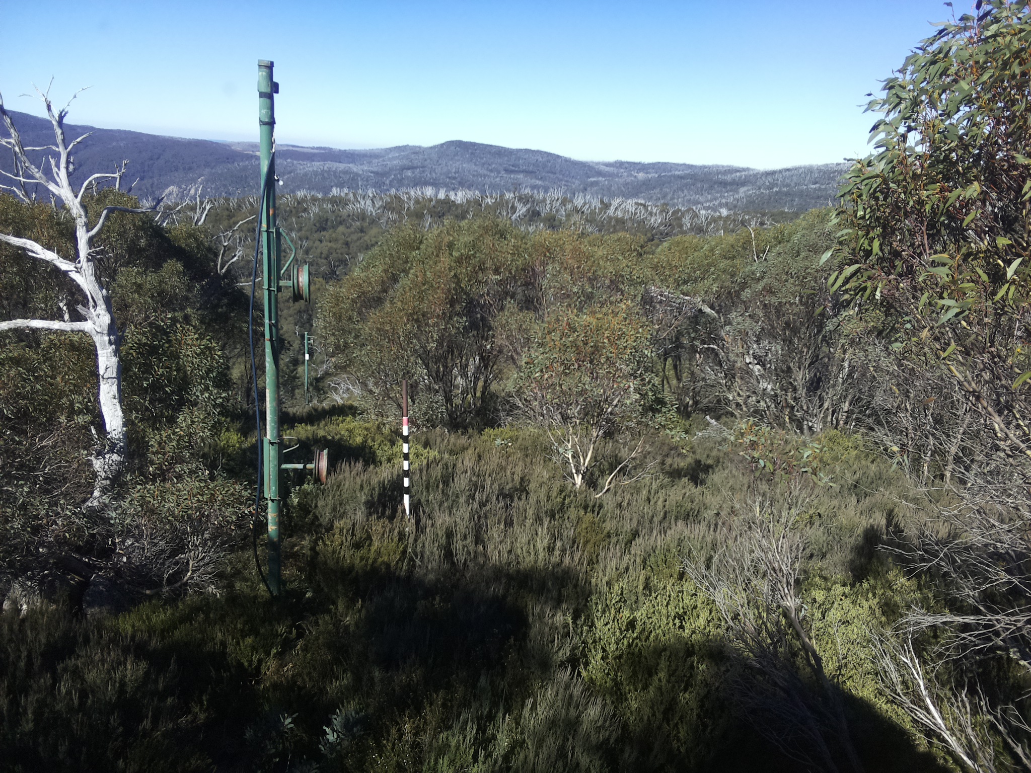 Bogong Web Cam 11:40am Friday 2nd of May 2025