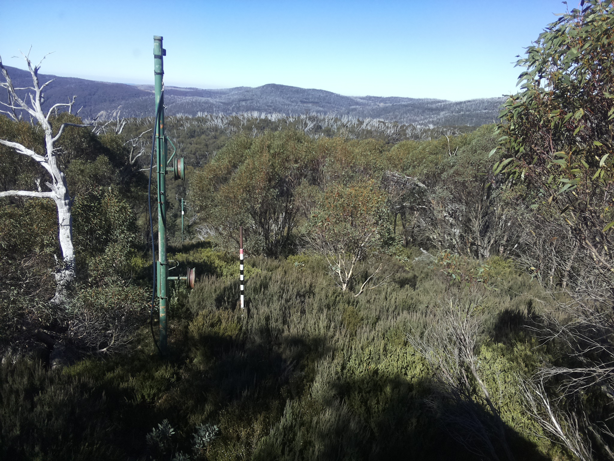 Bogong Web Cam 11:50am Friday 2nd of May 2025