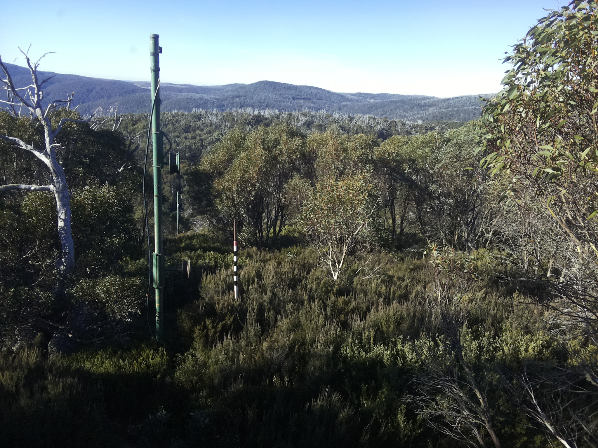 Bogong Web Cam 9:00am Saturday 3rd of May 2025