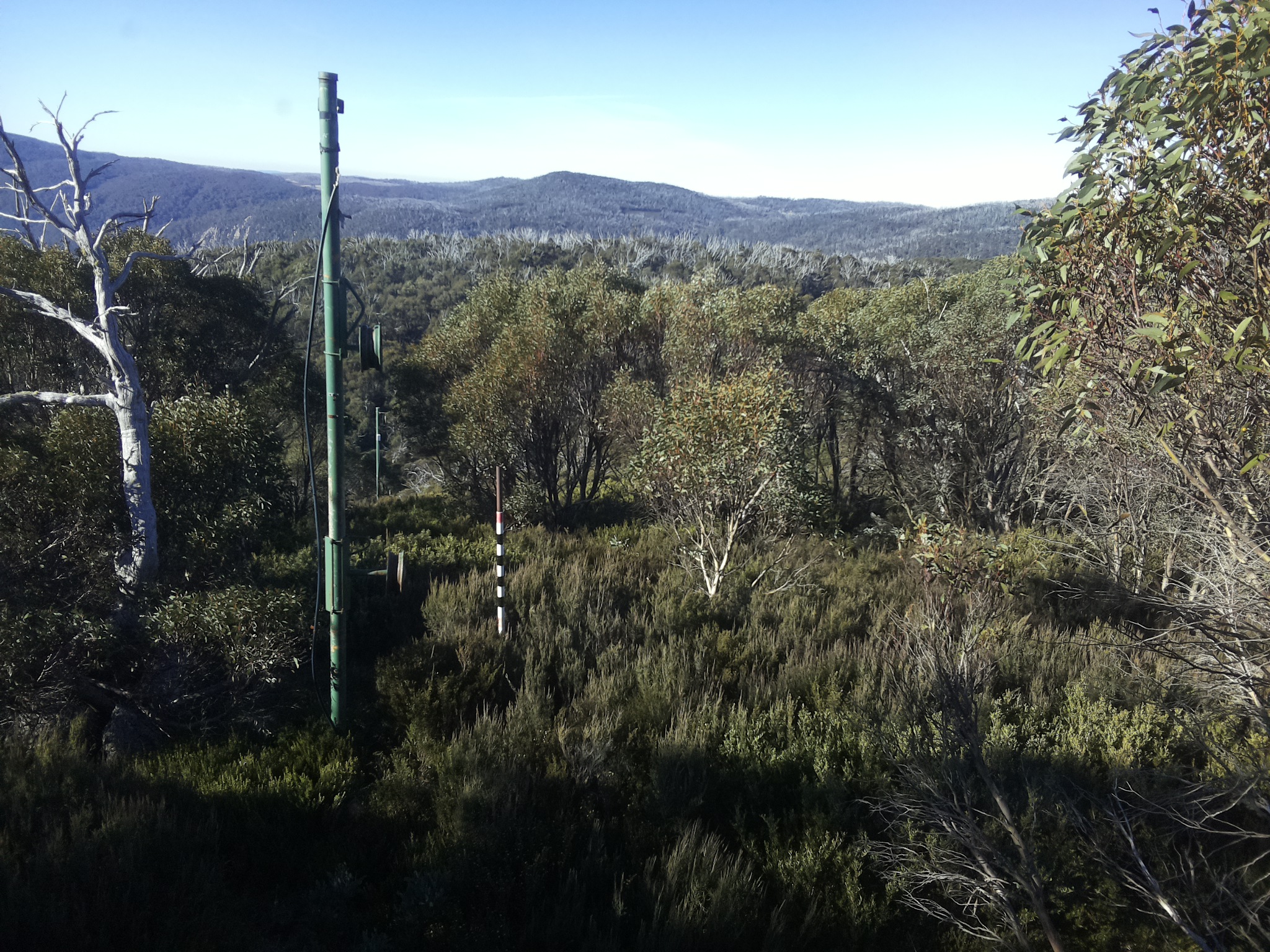 Bogong Web Cam 9:10am Saturday 3rd of May 2025