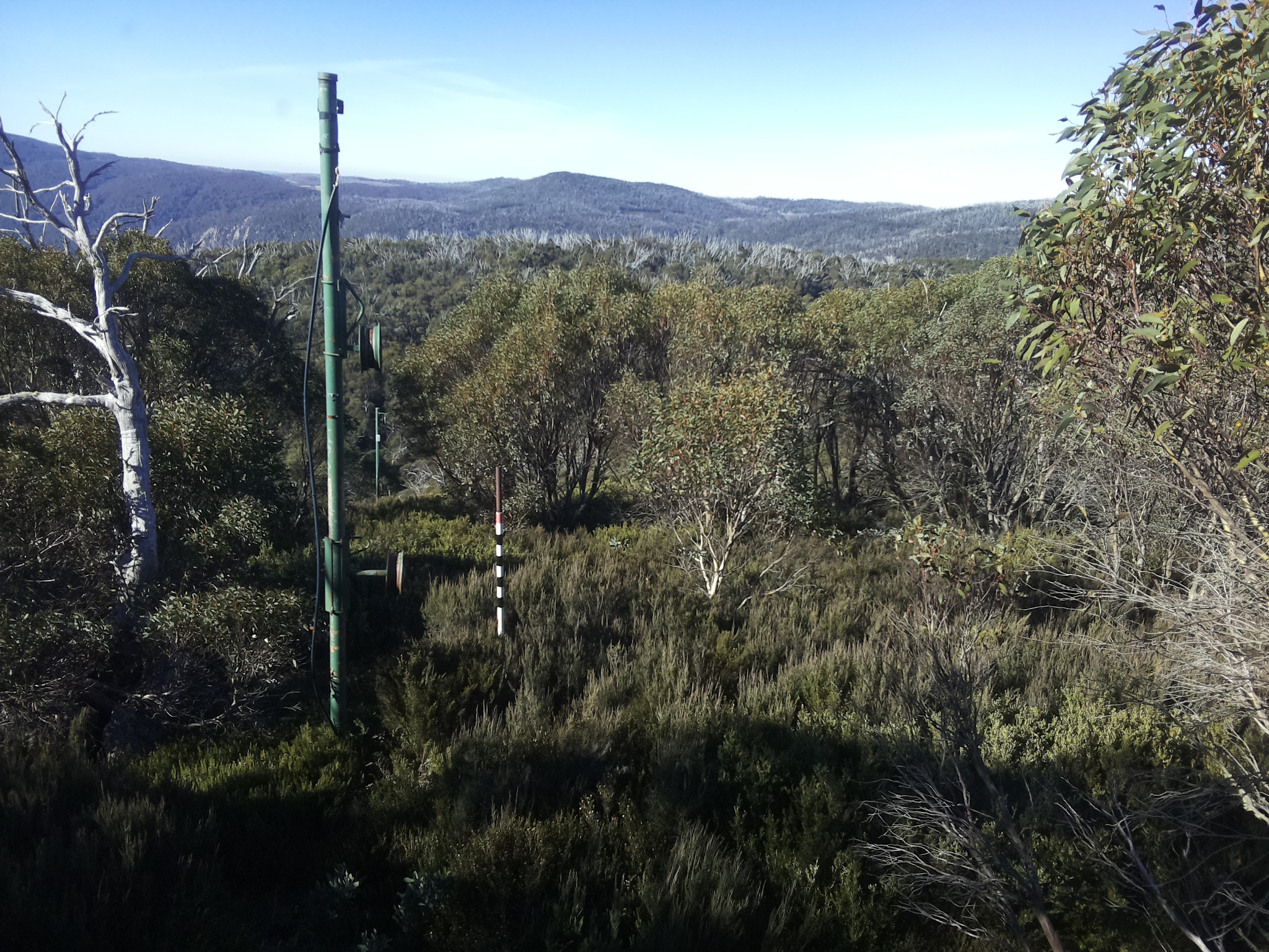 Bogong Web Cam 9:40am Saturday 3rd of May 2025