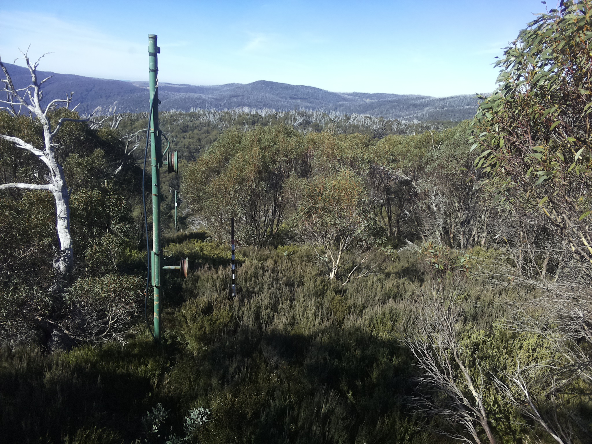 Bogong Web Cam 10:50am Saturday 3rd of May 2025
