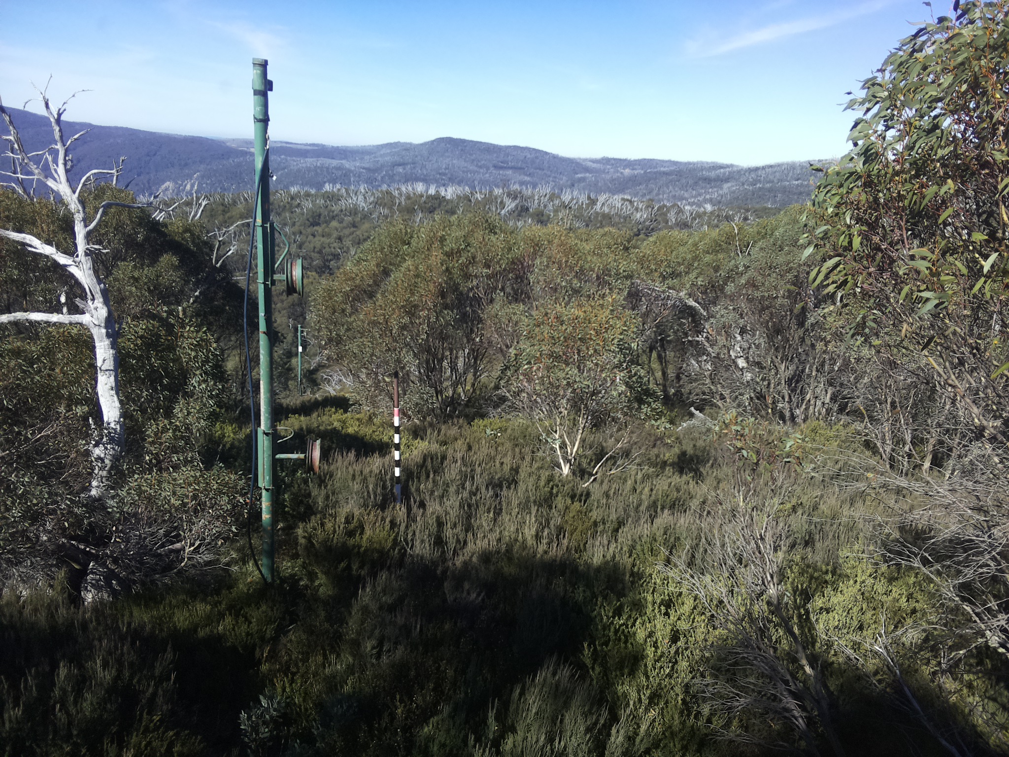 Bogong Web Cam 11:20am Saturday 3rd of May 2025