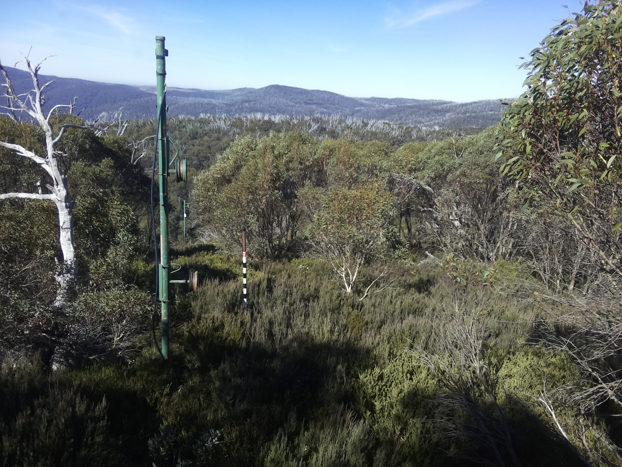 Bogong Web Cam 11:30am Saturday 3rd of May 2025