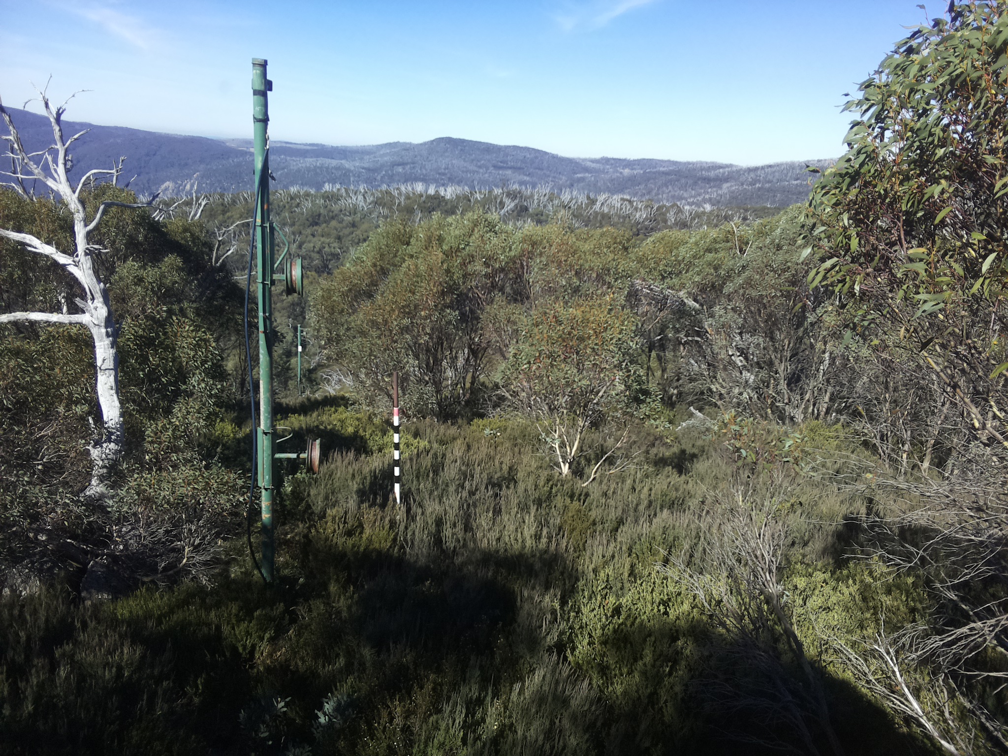 Bogong Web Cam 11:40am Saturday 3rd of May 2025