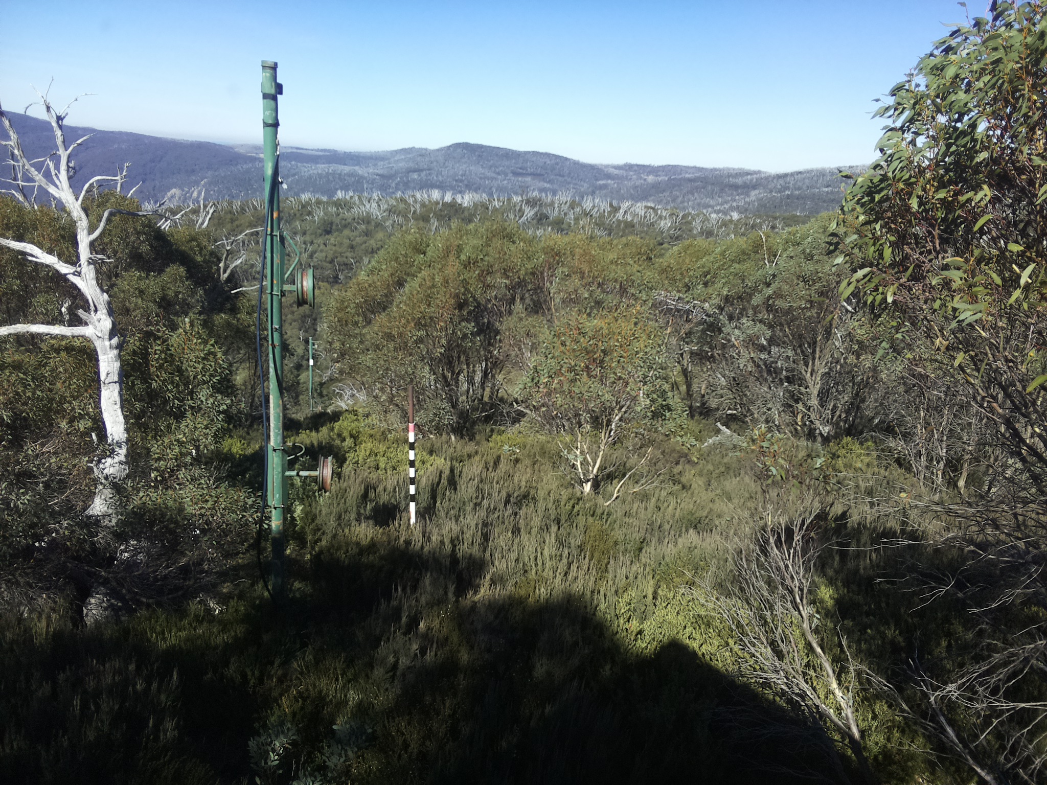 Bogong Web Cam 12:20pm Saturday 3rd of May 2025