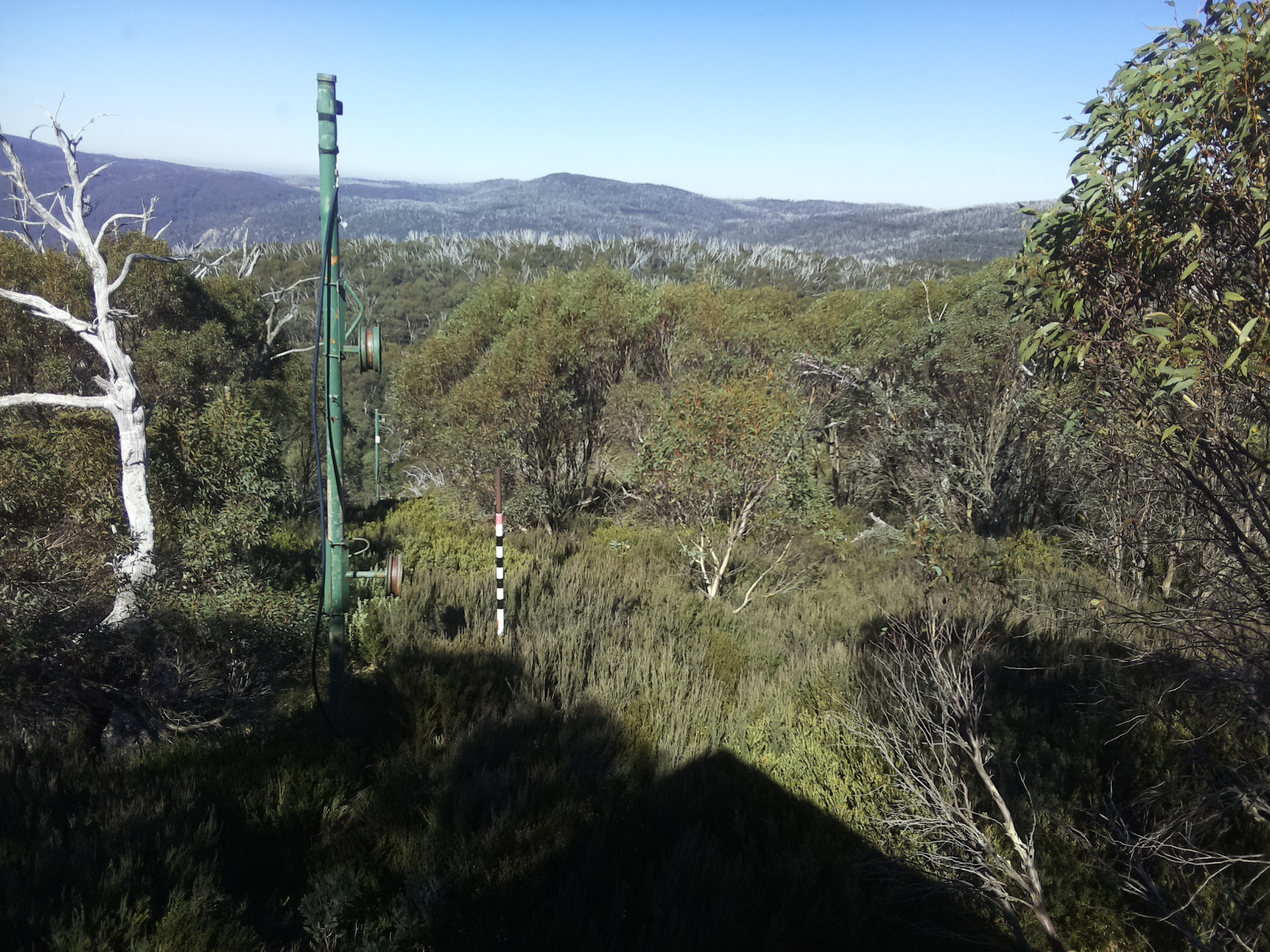 Bogong Web Cam 12:40pm Saturday 3rd of May 2025