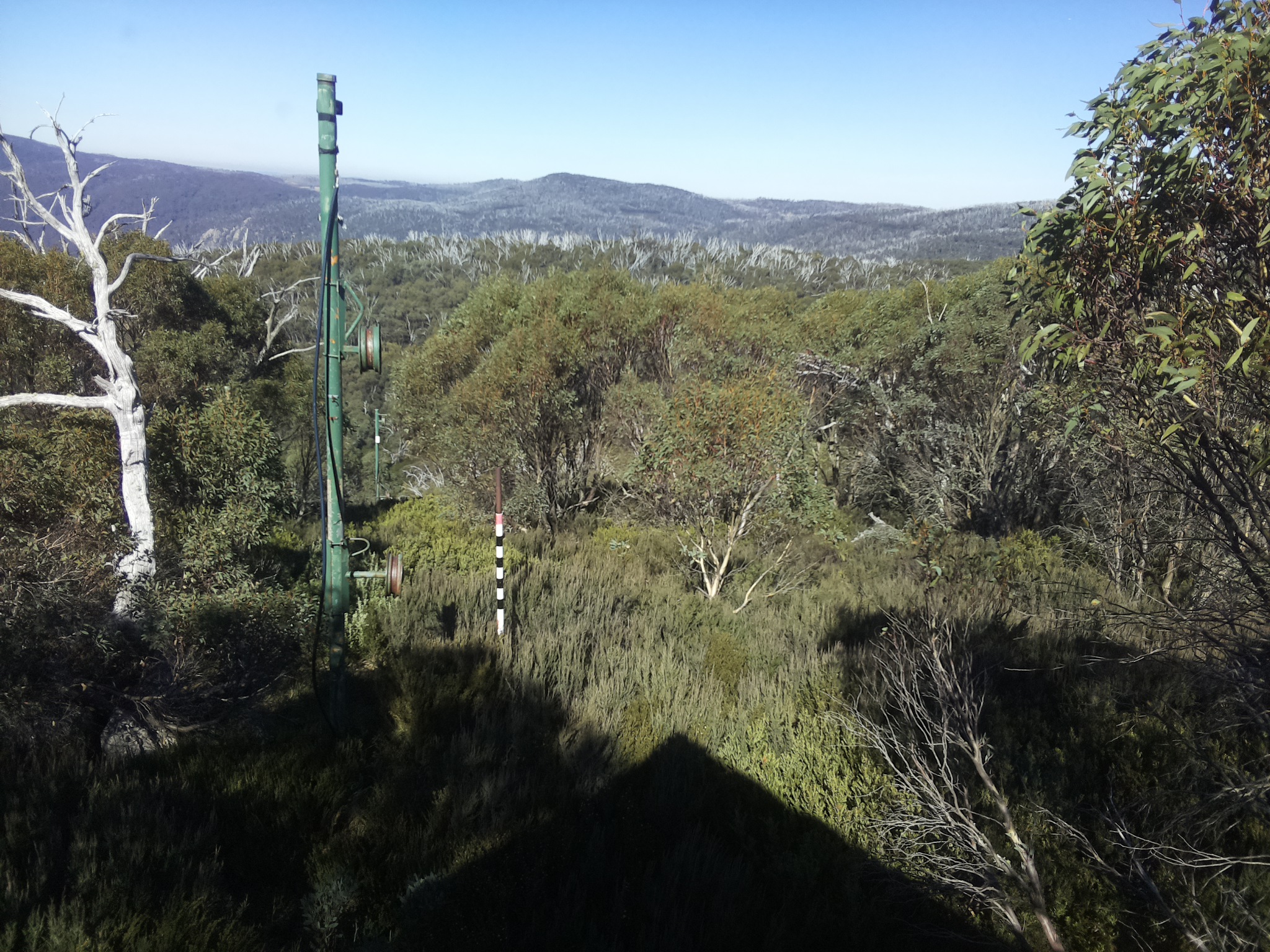 Bogong Web Cam 12:50pm Saturday 3rd of May 2025