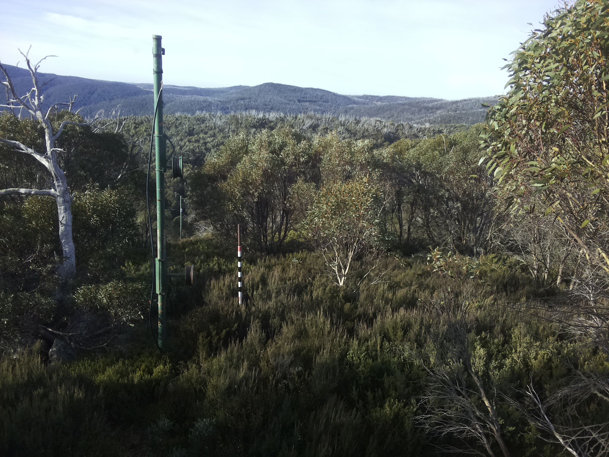 Bogong Web Cam 8:50am Sunday 4th of May 2025