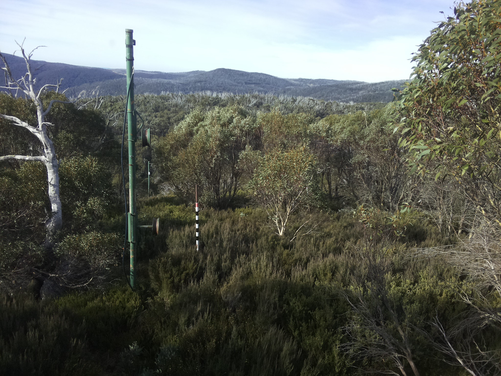 Bogong Web Cam 9:50am Sunday 4th of May 2025