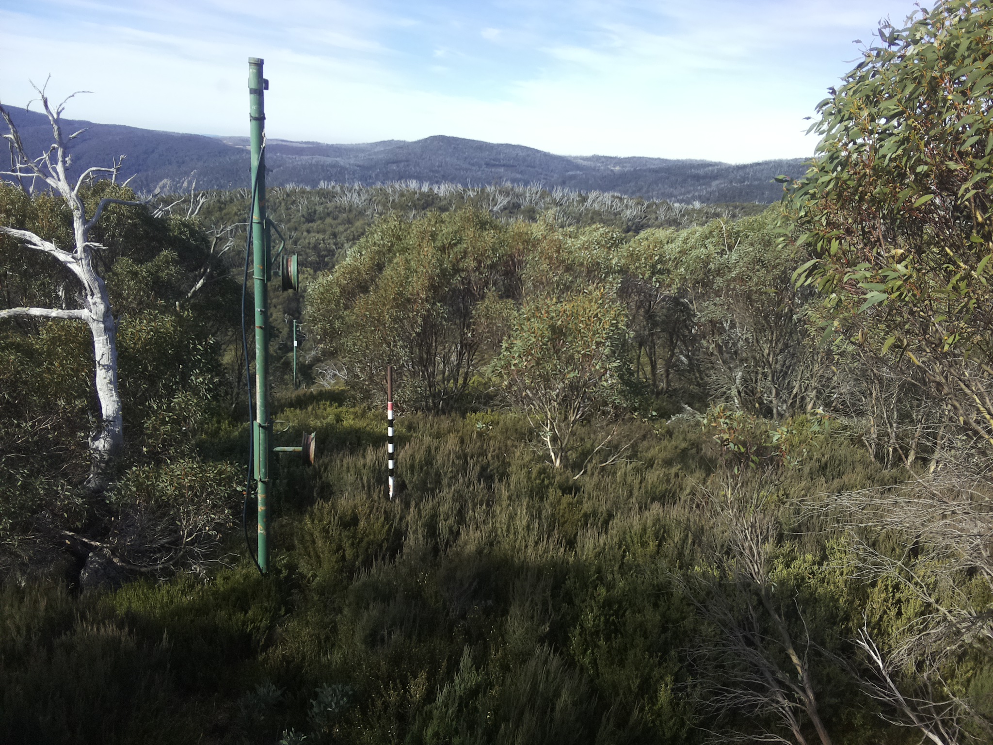 Bogong Web Cam 10:30am Sunday 4th of May 2025