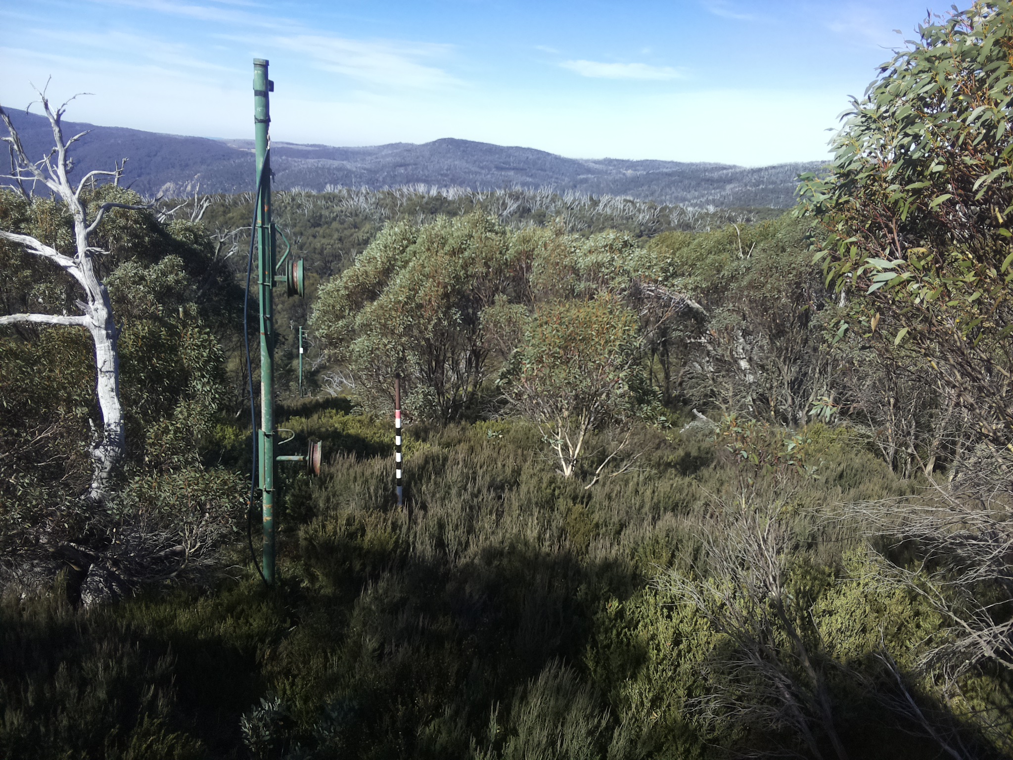 Bogong Web Cam 11:20am Sunday 4th of May 2025