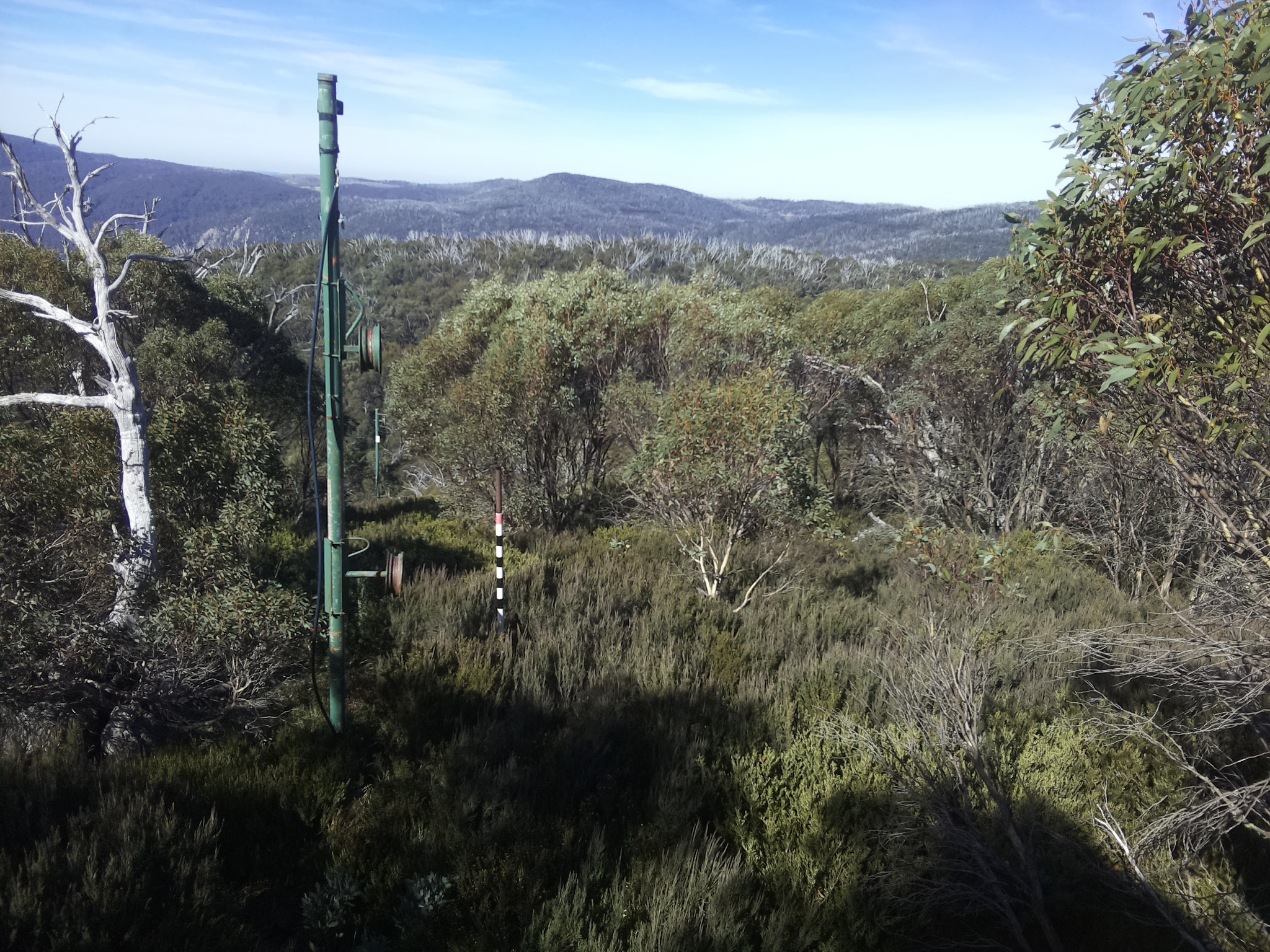 Bogong Web Cam 11:30am Sunday 4th of May 2025