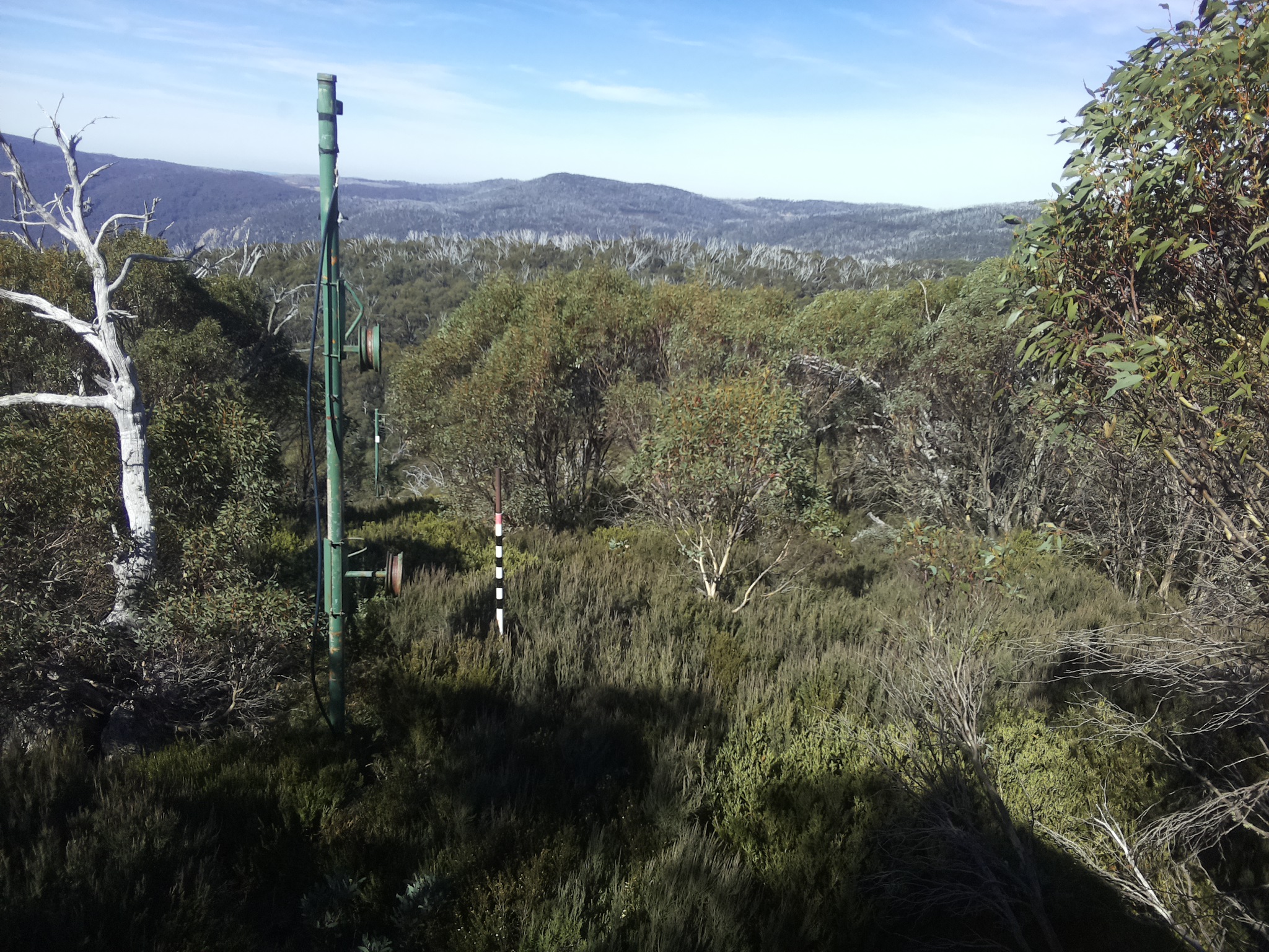 Bogong Web Cam 11:40am Sunday 4th of May 2025