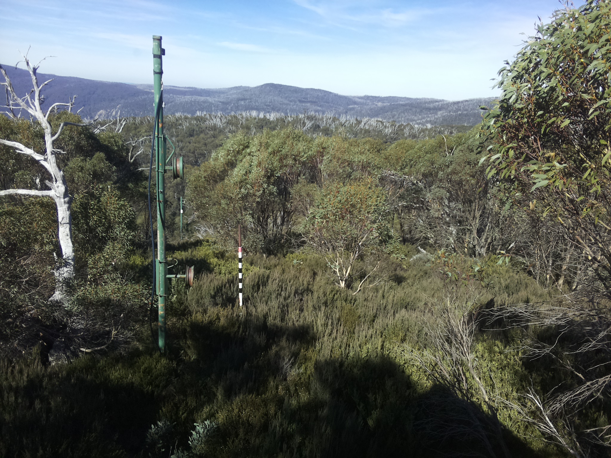 Bogong Web Cam 12:00pm Sunday 4th of May 2025