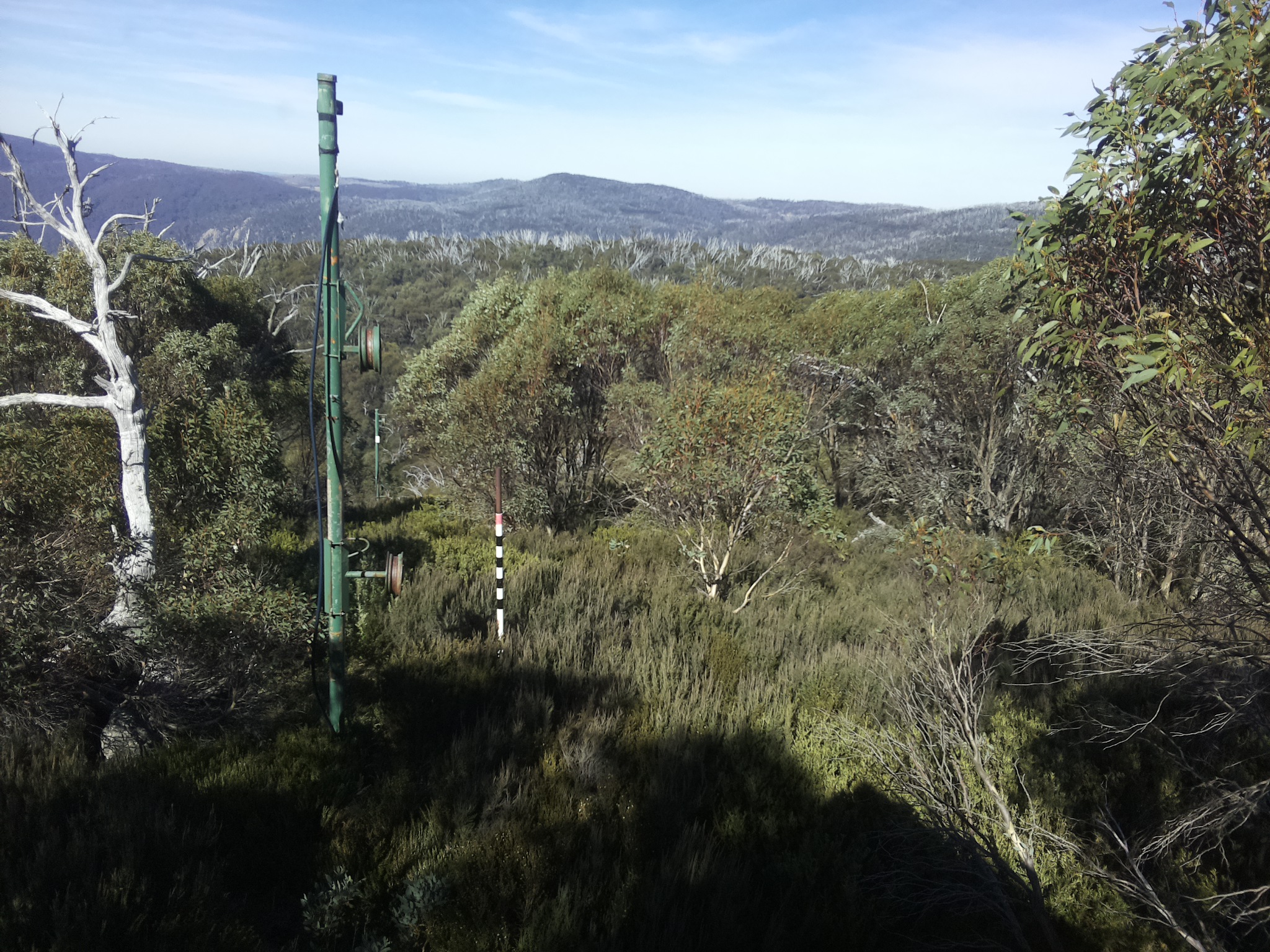 Bogong Web Cam 12:10pm Sunday 4th of May 2025
