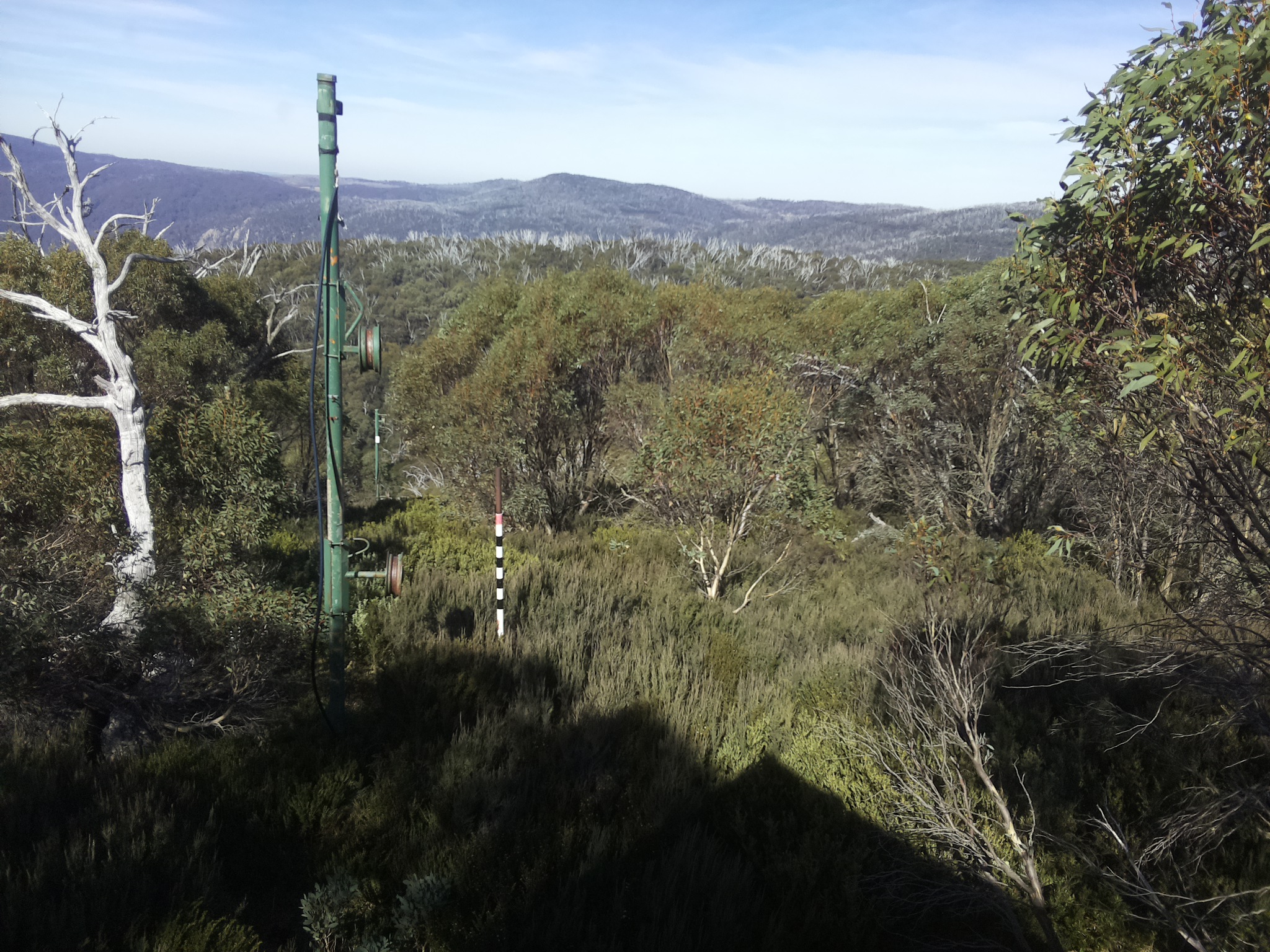 Bogong Web Cam 12:30pm Sunday 4th of May 2025