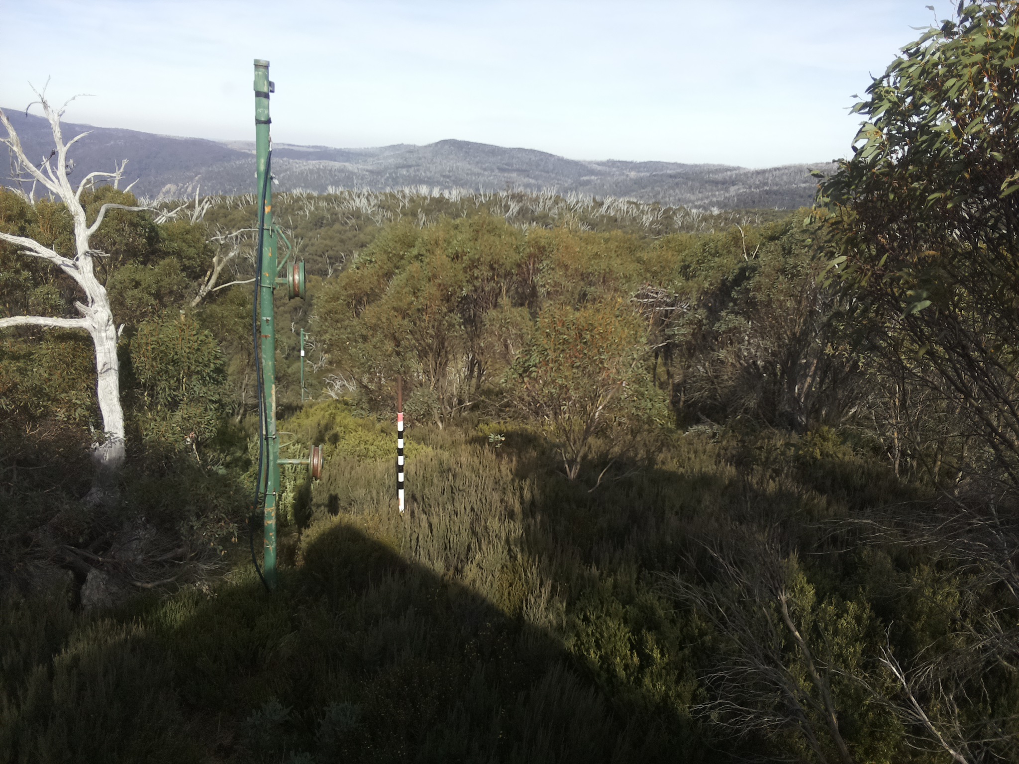 Bogong Web Cam 1:50pm Sunday 4th of May 2025