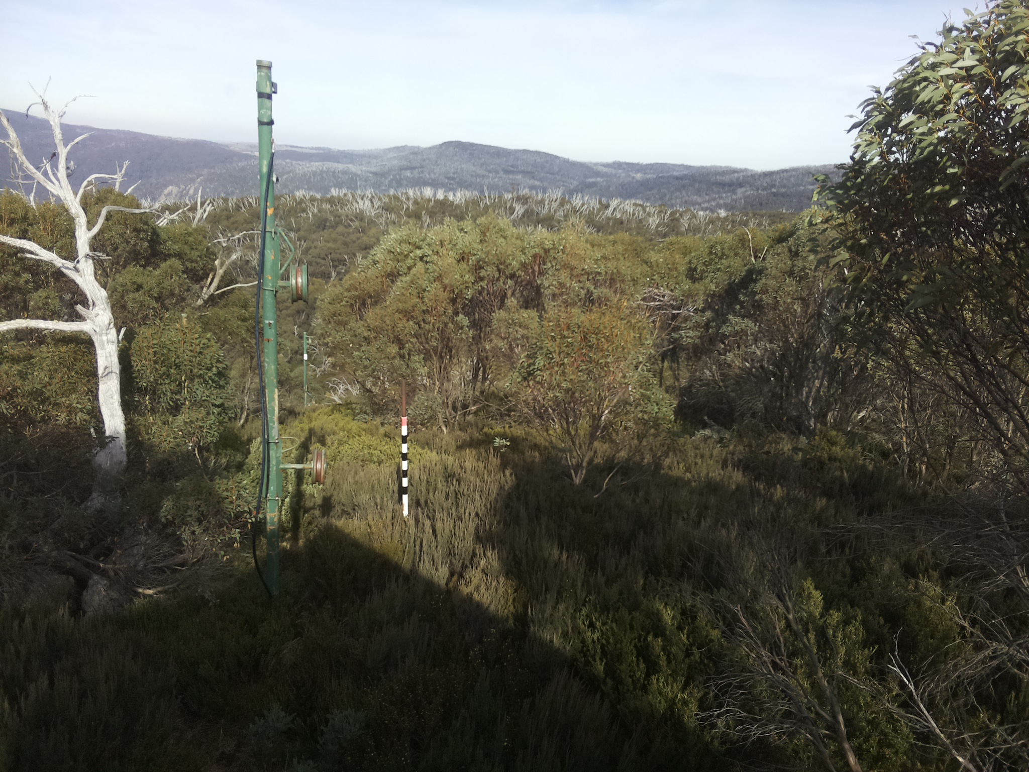 Bogong Web Cam 2:00pm Sunday 4th of May 2025