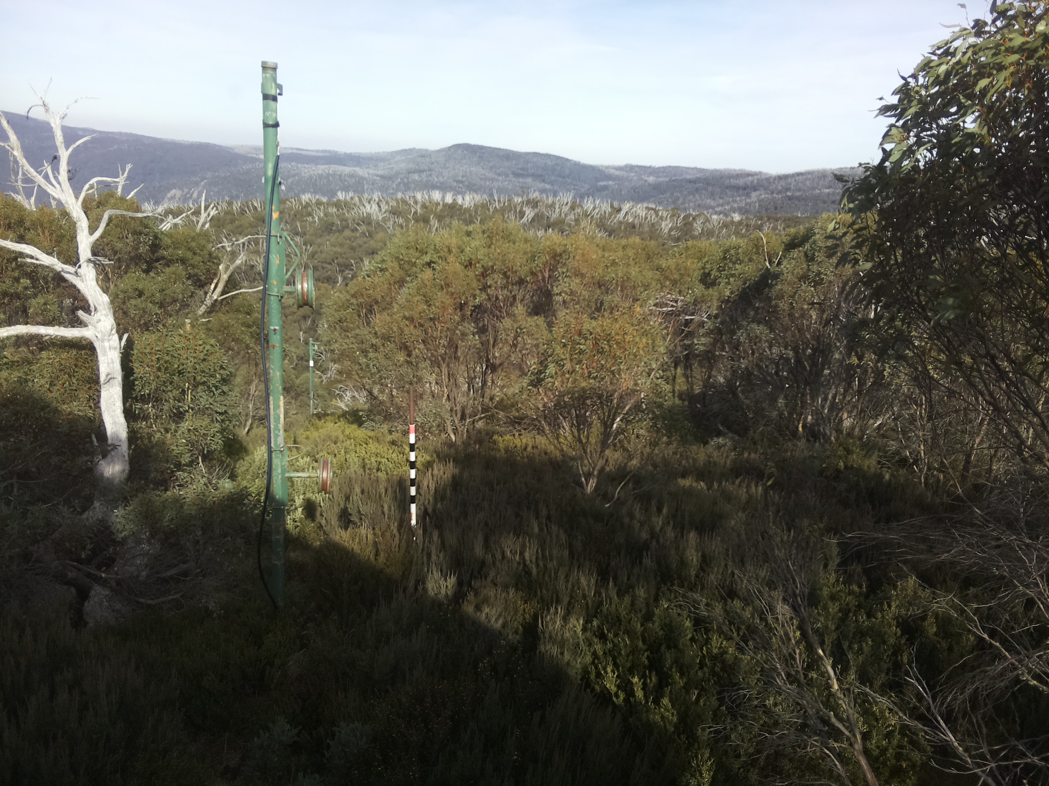 Bogong Web Cam 2:20pm Sunday 4th of May 2025