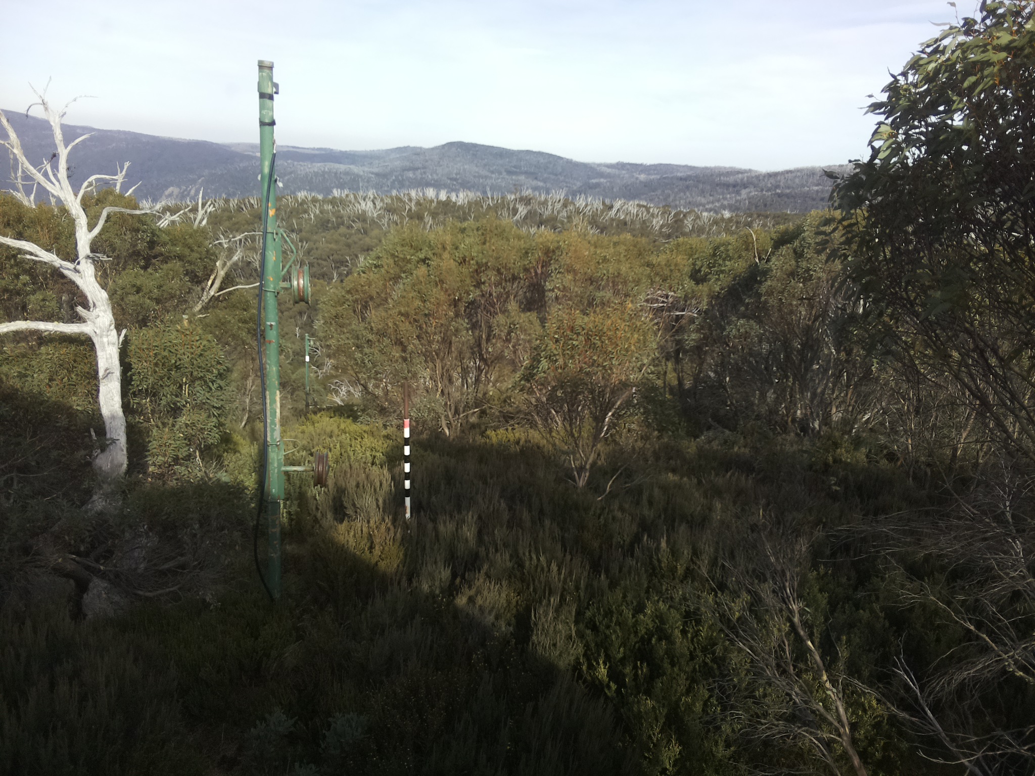 Bogong Web Cam 2:30pm Sunday 4th of May 2025