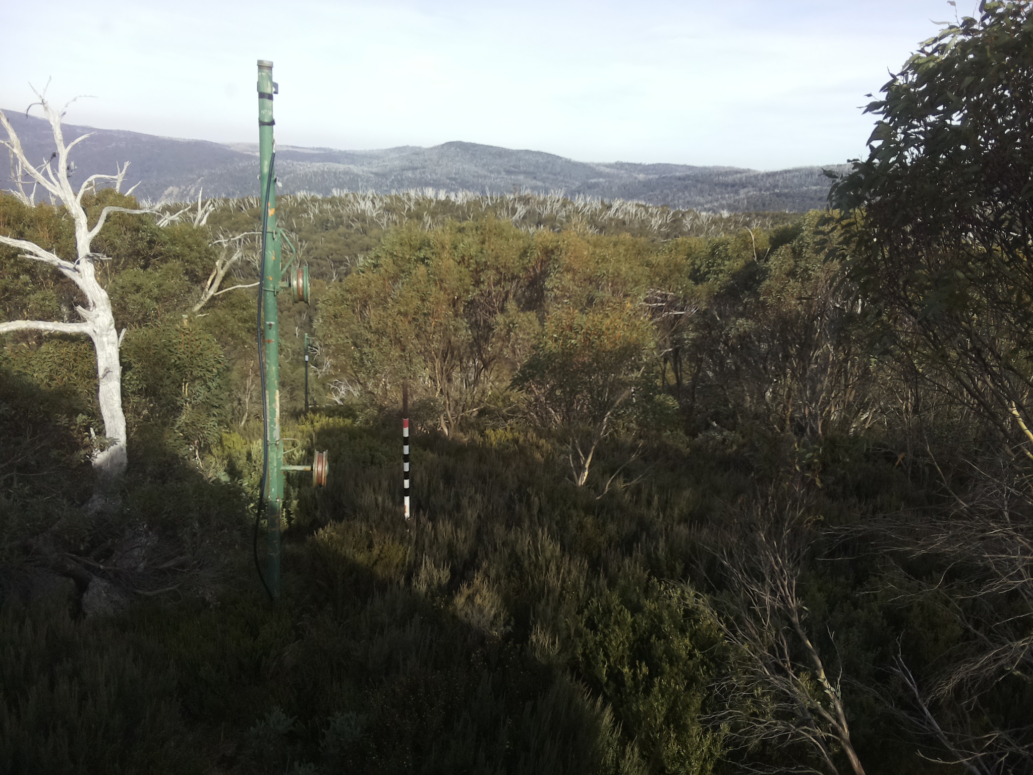 Bogong Web Cam 2:50pm Sunday 4th of May 2025