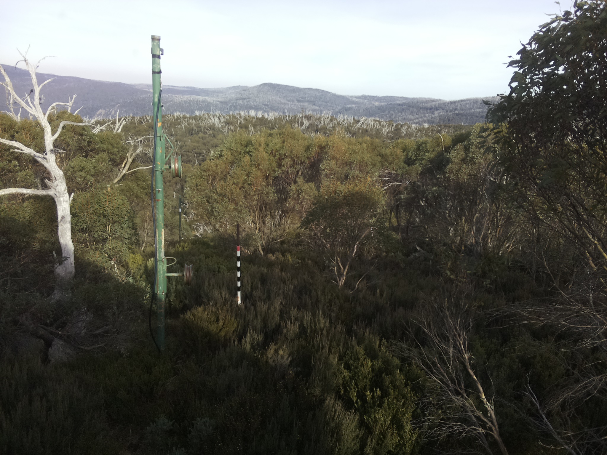 Bogong Web Cam 3:00pm Sunday 4th of May 2025