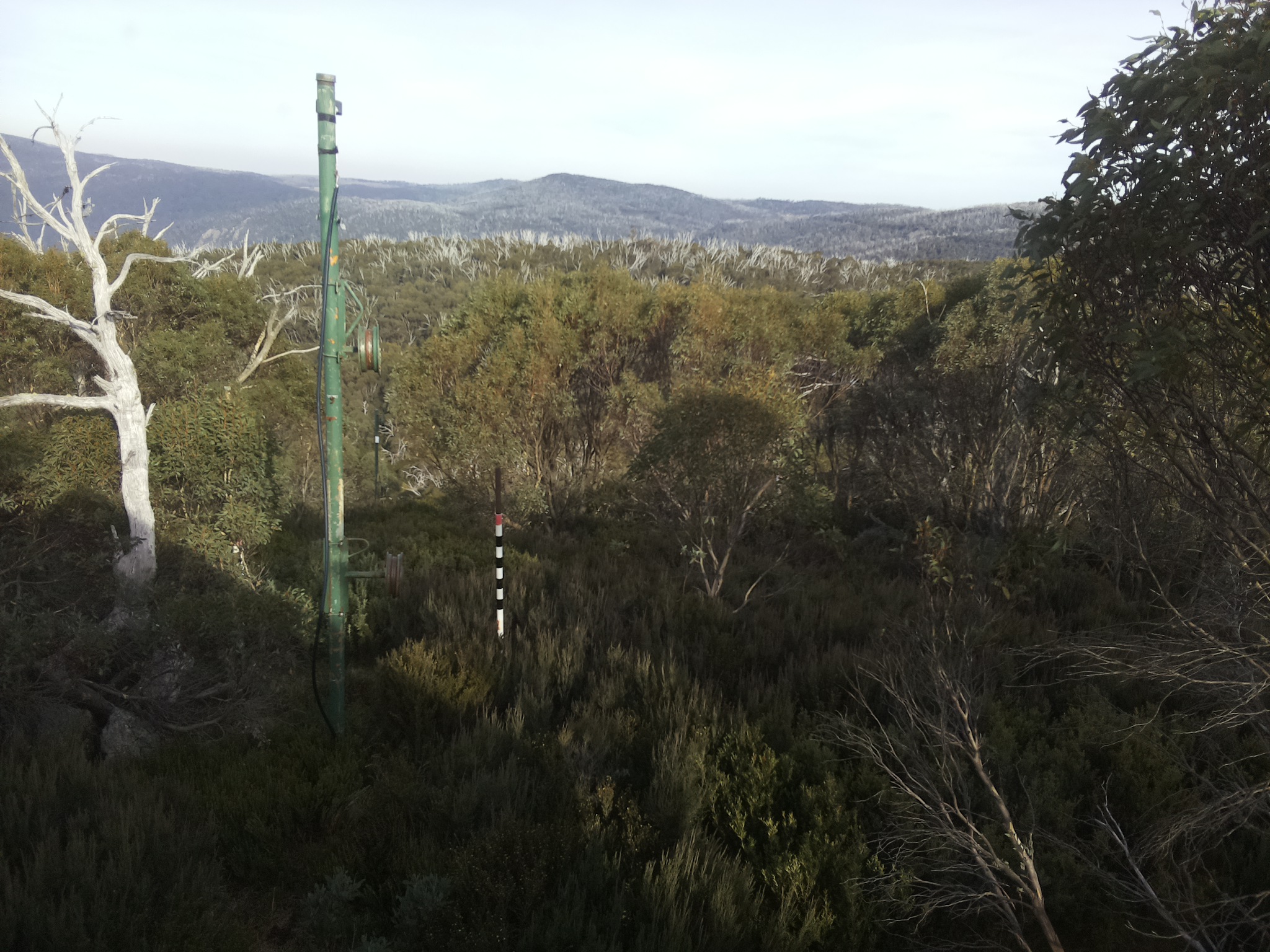 Bogong Web Cam 3:10pm Sunday 4th of May 2025