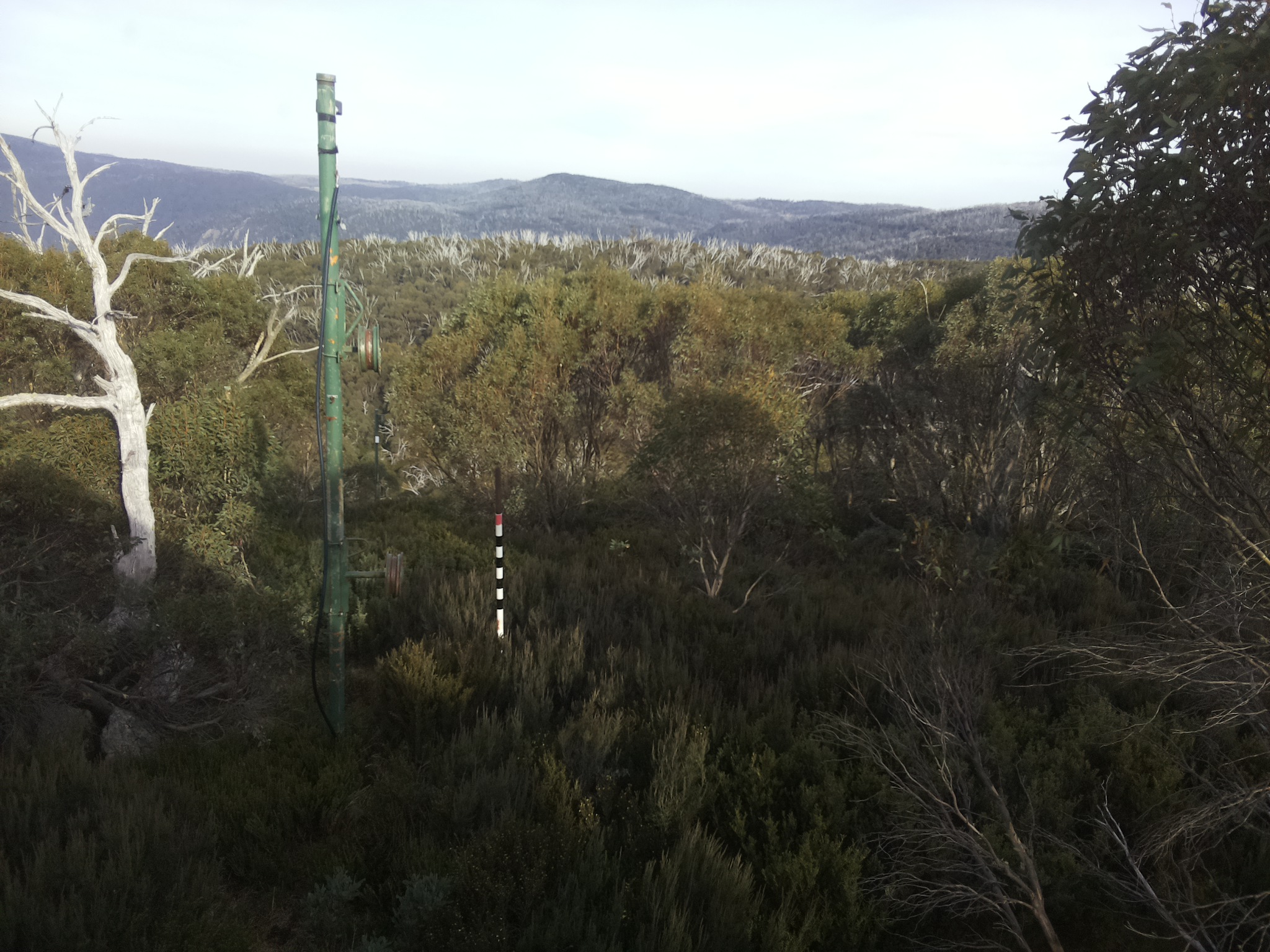 Bogong Web Cam 3:20pm Sunday 4th of May 2025
