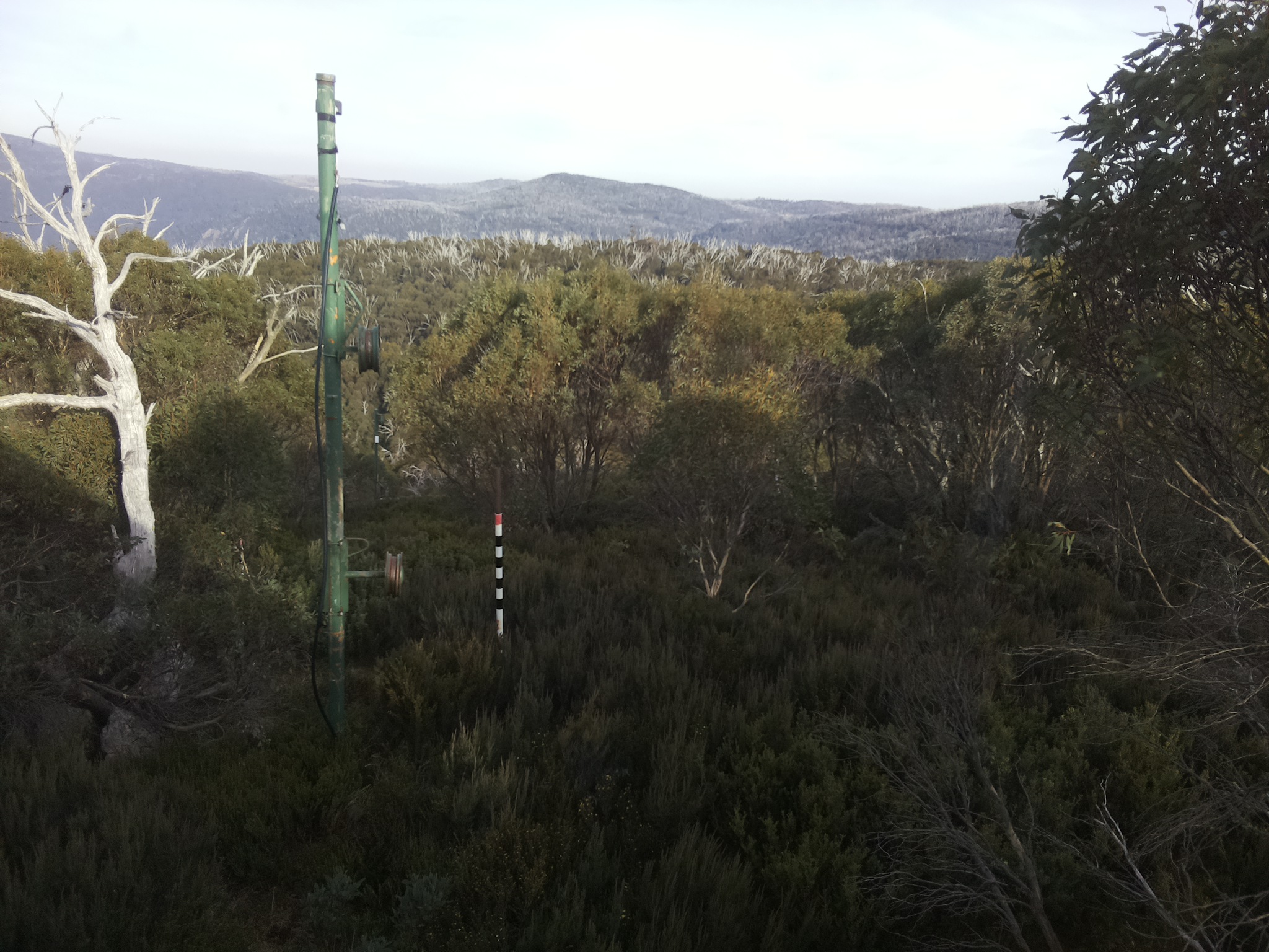 Bogong Web Cam 3:40pm Sunday 4th of May 2025