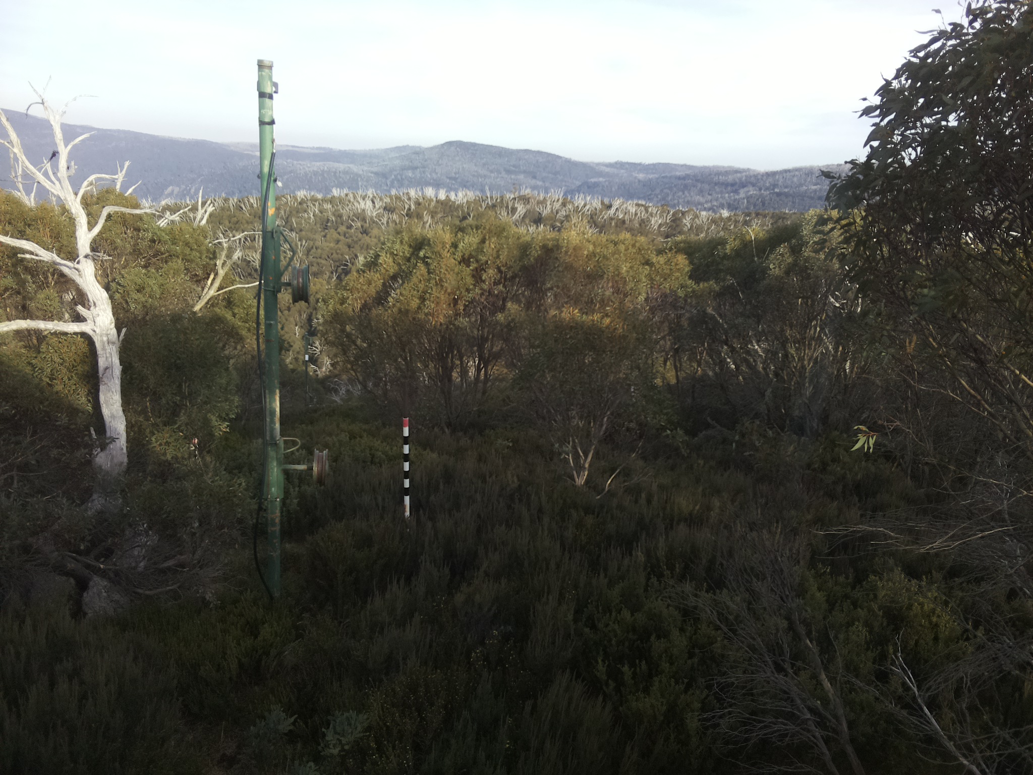 Bogong Web Cam 3:50pm Sunday 4th of May 2025