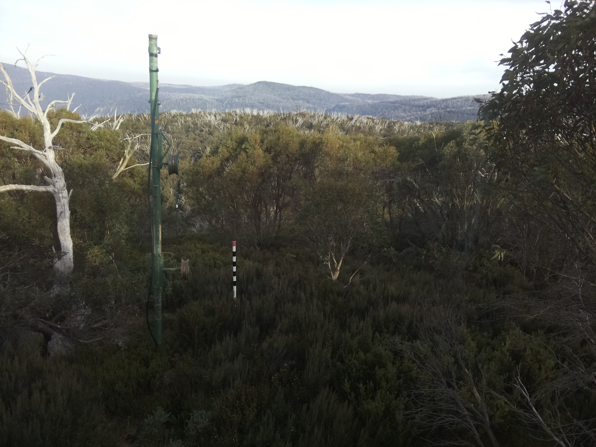 Bogong Web Cam 4:00pm Sunday 4th of May 2025