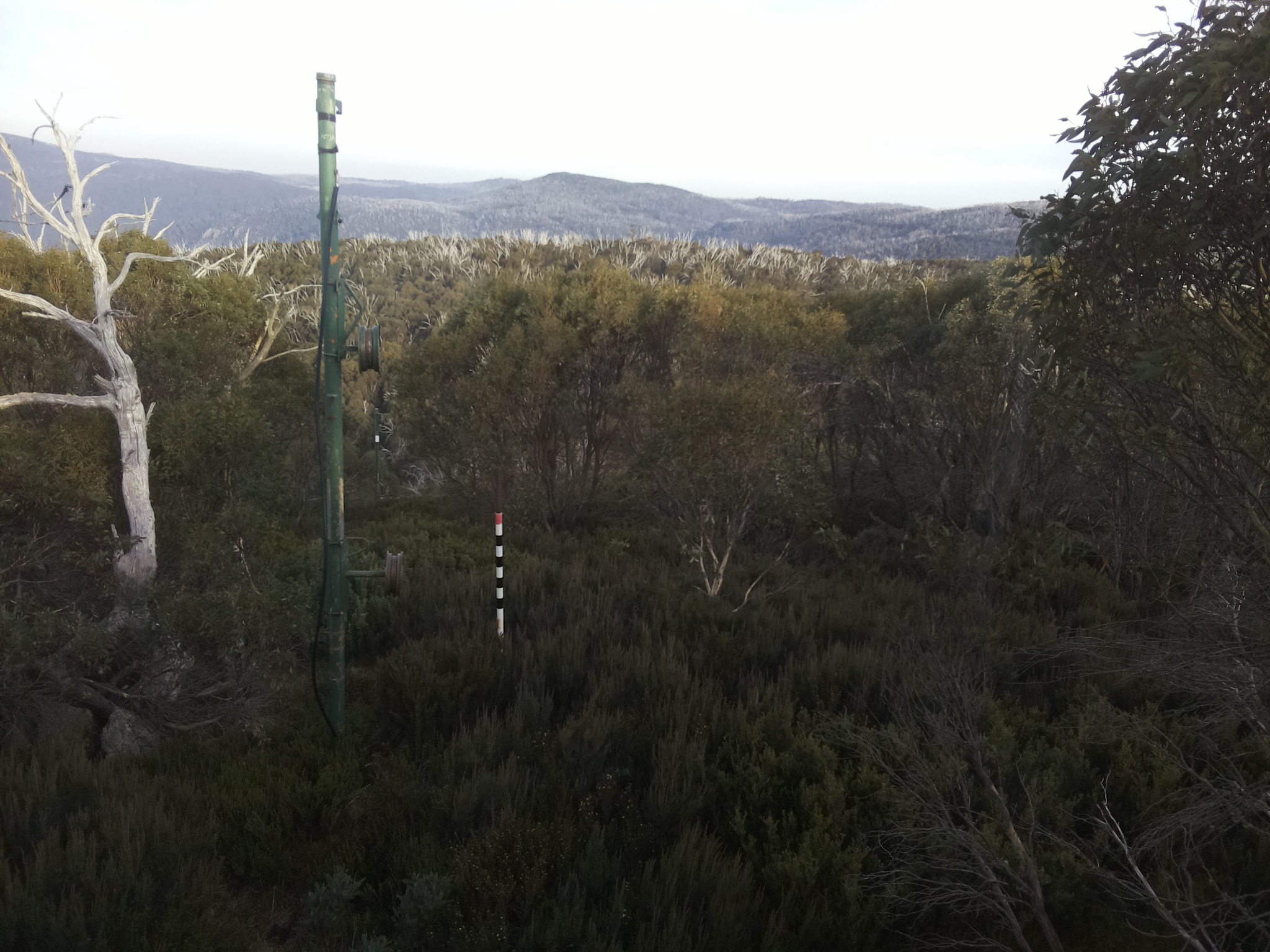 Bogong Web Cam 4:10pm Sunday 4th of May 2025