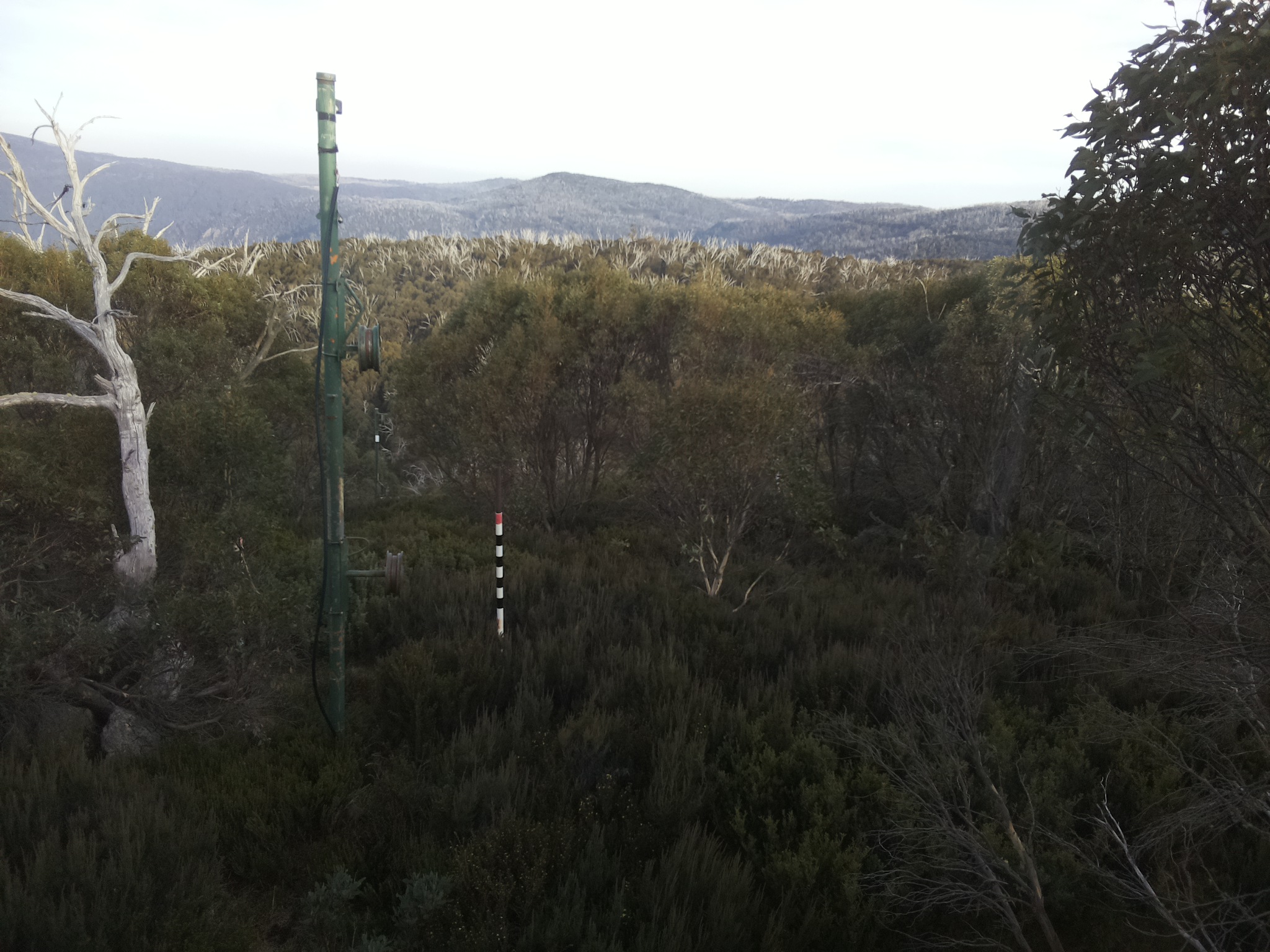 Bogong Web Cam 4:20pm Sunday 4th of May 2025