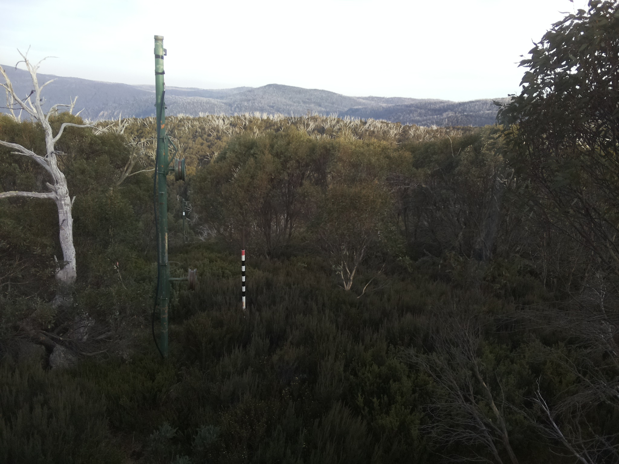 Bogong Web Cam 4:30pm Sunday 4th of May 2025