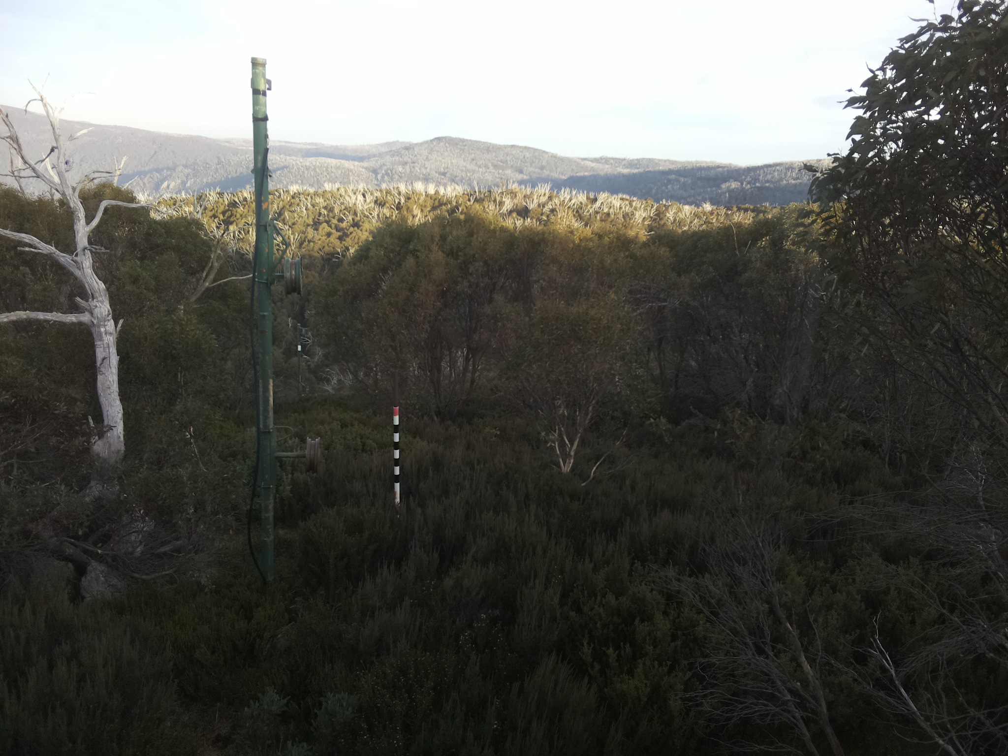 Bogong Web Cam 4:40pm Sunday 4th of May 2025