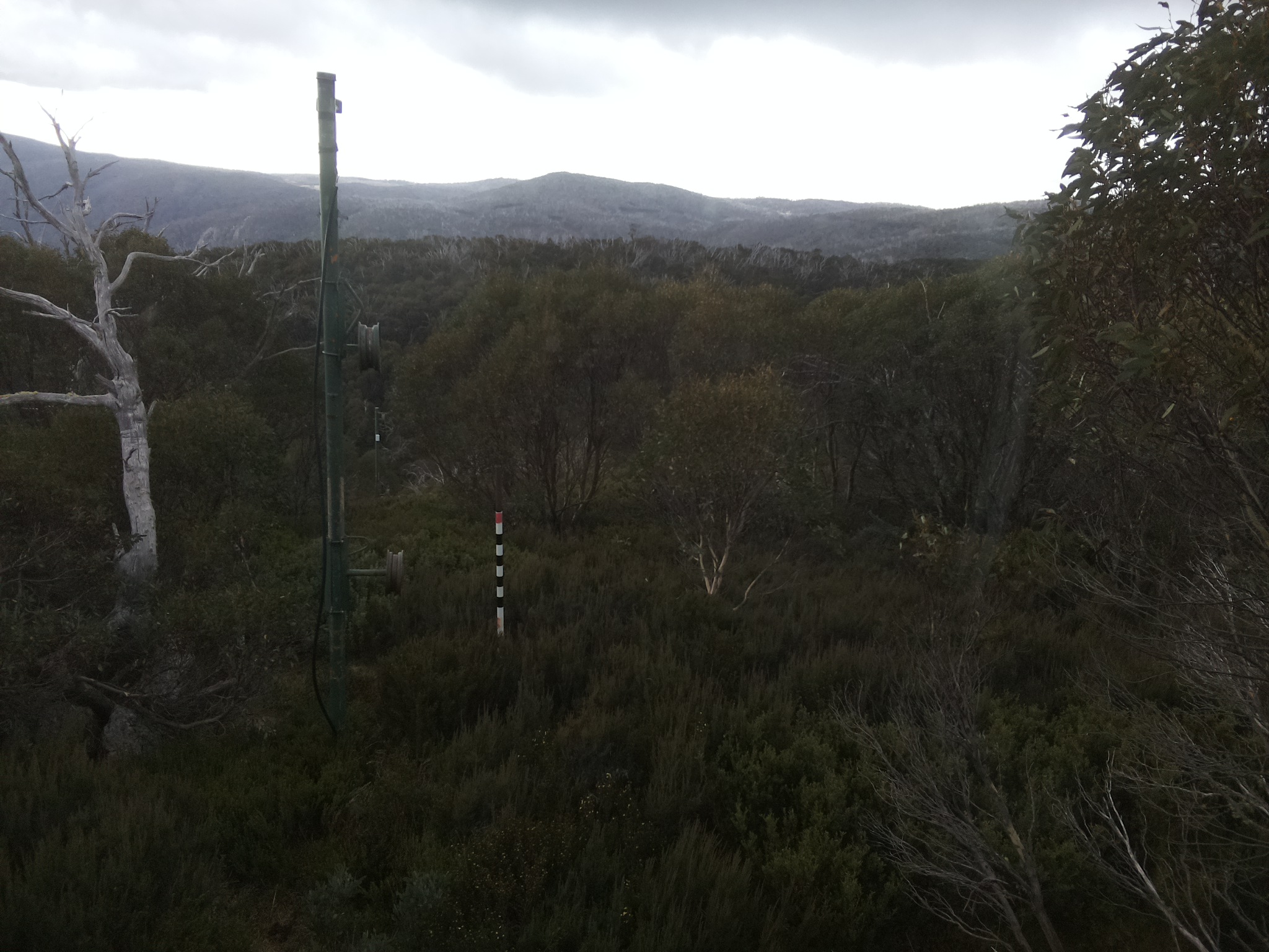 Bogong Web Cam 8:00am Tuesday 6th of May 2025