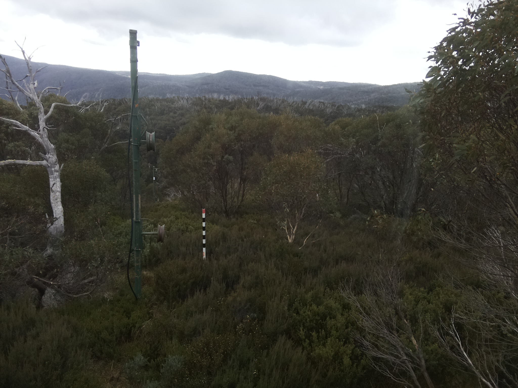 Bogong Web Cam 8:30am Tuesday 6th of May 2025
