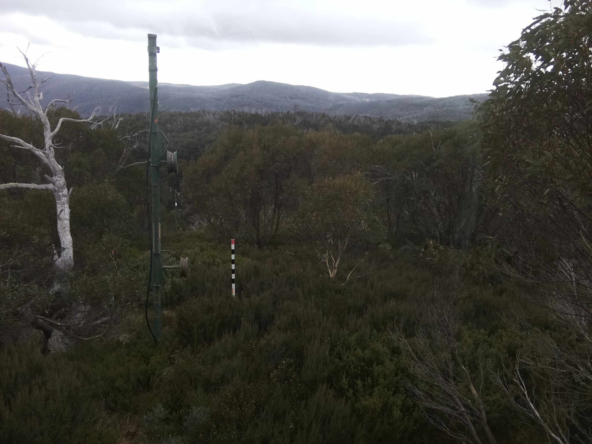 Bogong Web Cam 8:50am Tuesday 6th of May 2025