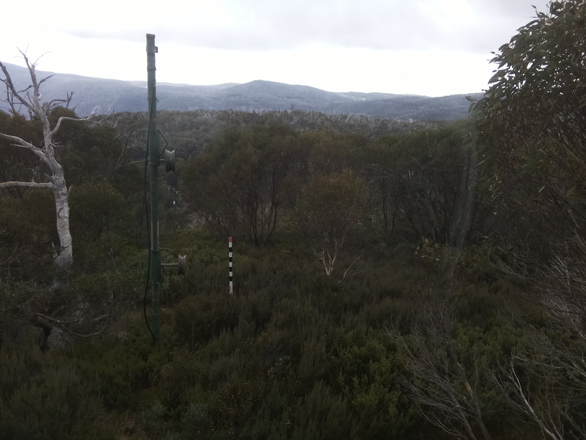 Bogong Web Cam 10:00am Tuesday 6th of May 2025