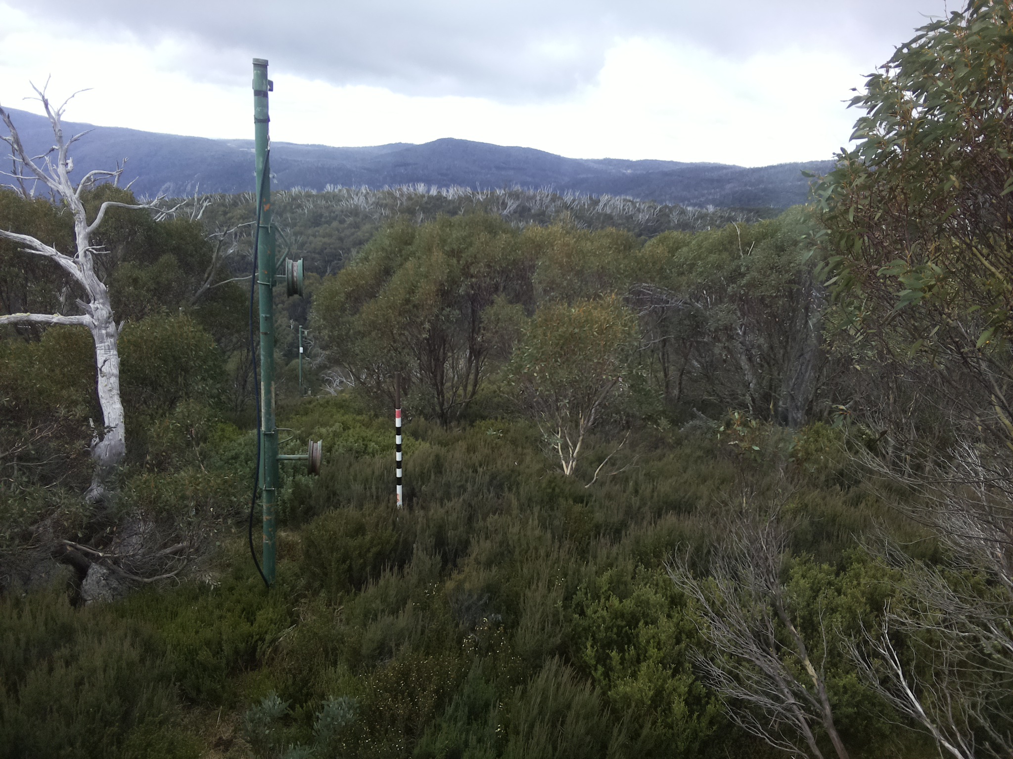 Bogong Web Cam 10:20am Tuesday 6th of May 2025
