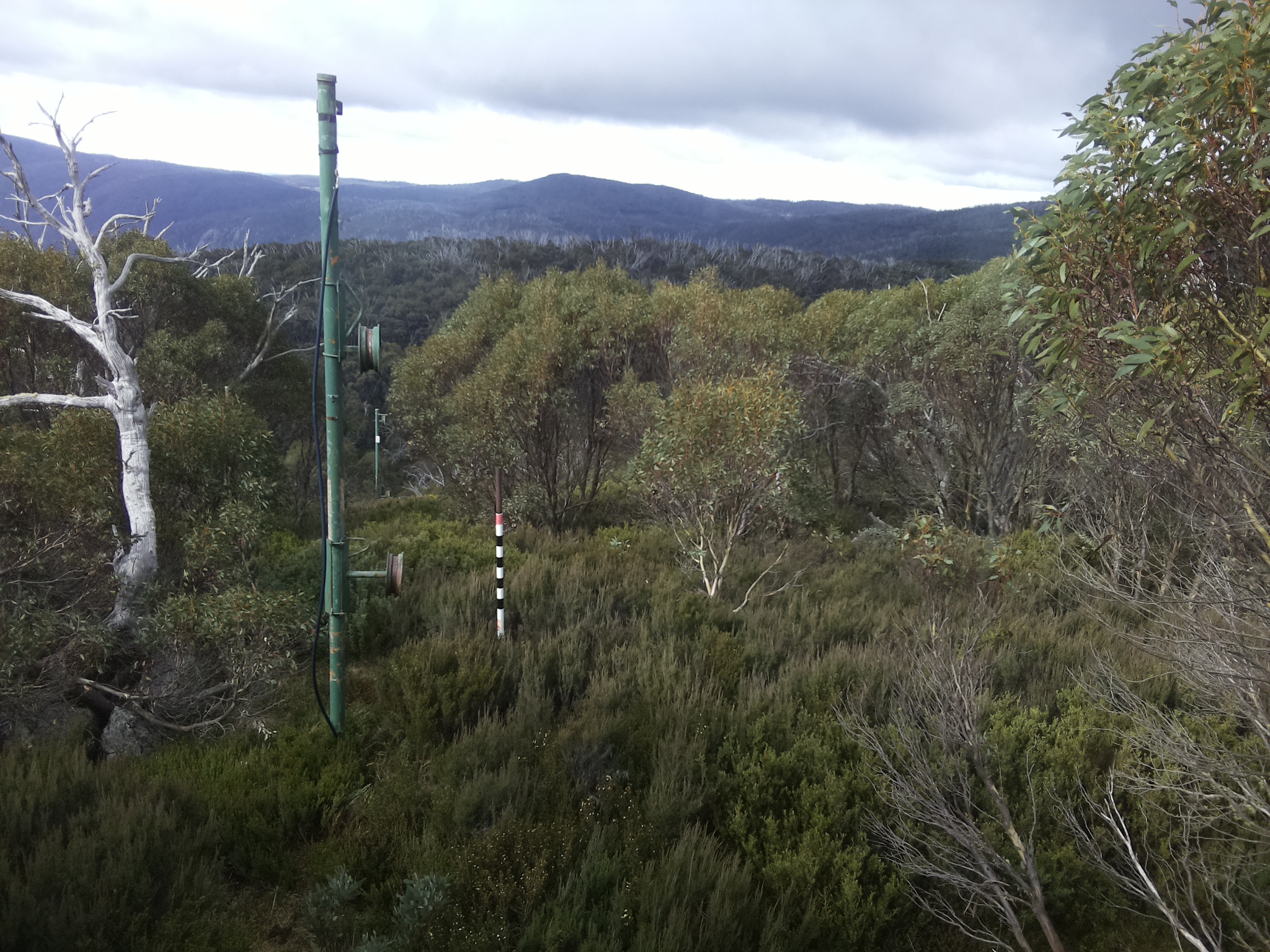 Bogong Web Cam 10:30am Tuesday 6th of May 2025