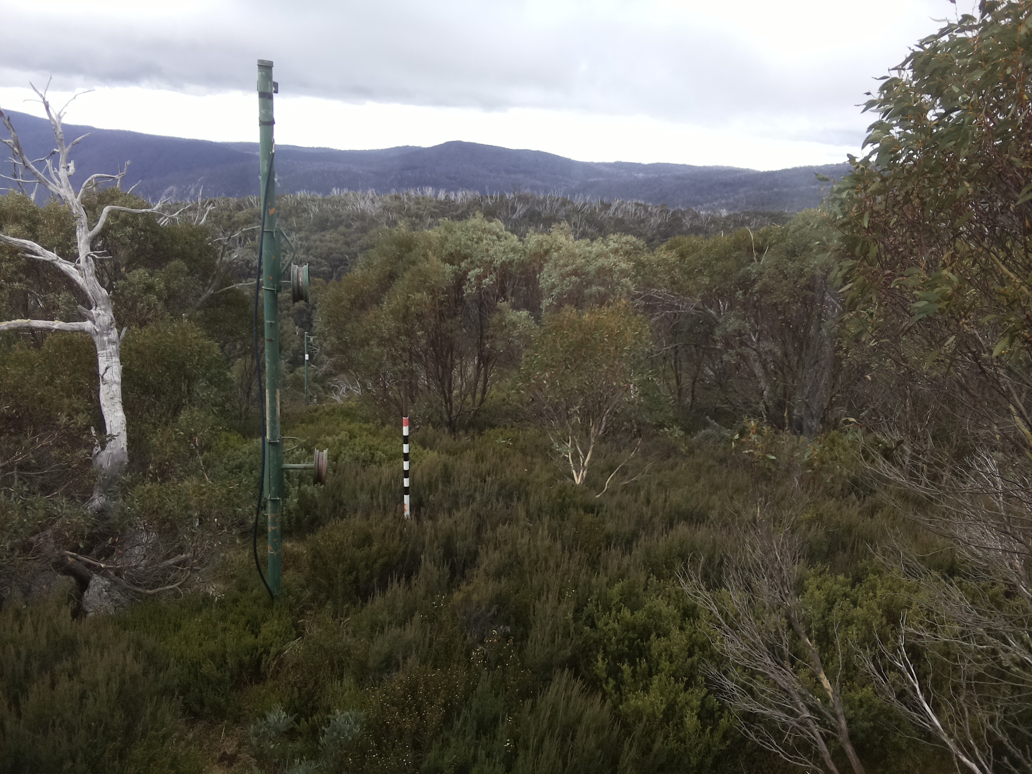 Bogong Web Cam 11:00am Tuesday 6th of May 2025