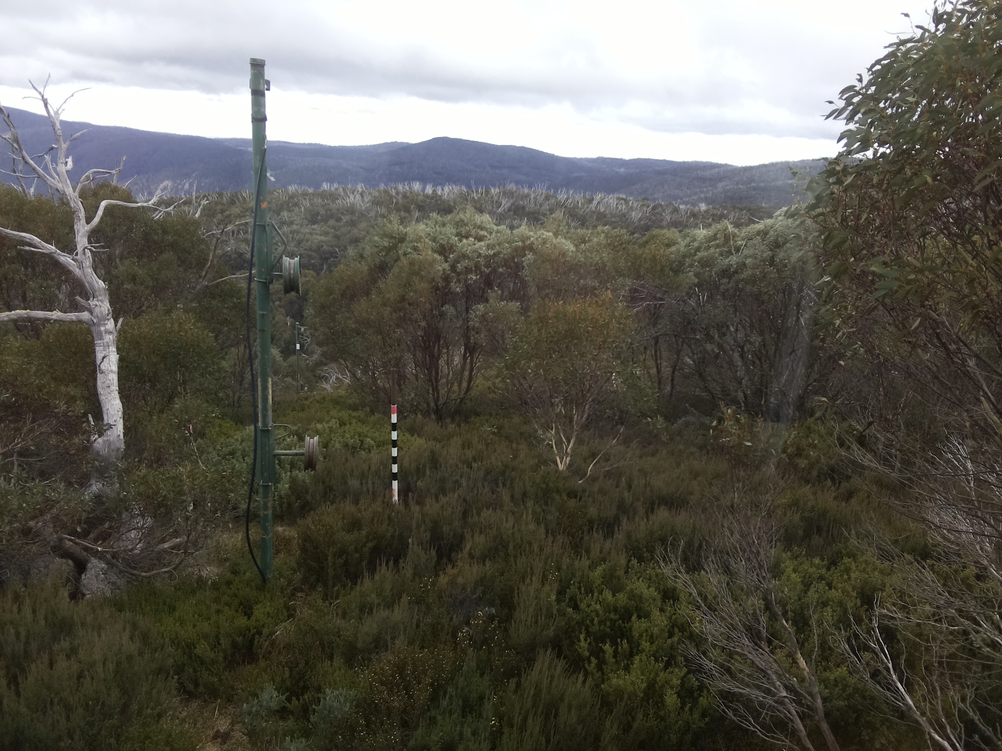 Bogong Web Cam 11:10am Tuesday 6th of May 2025